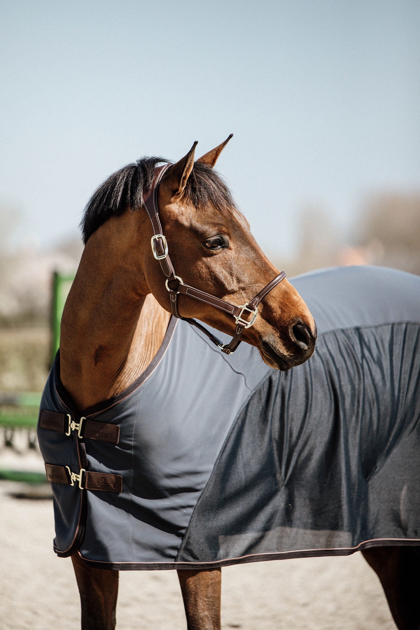 Kentucky Horsewear Cooler softshell dekken Dekken