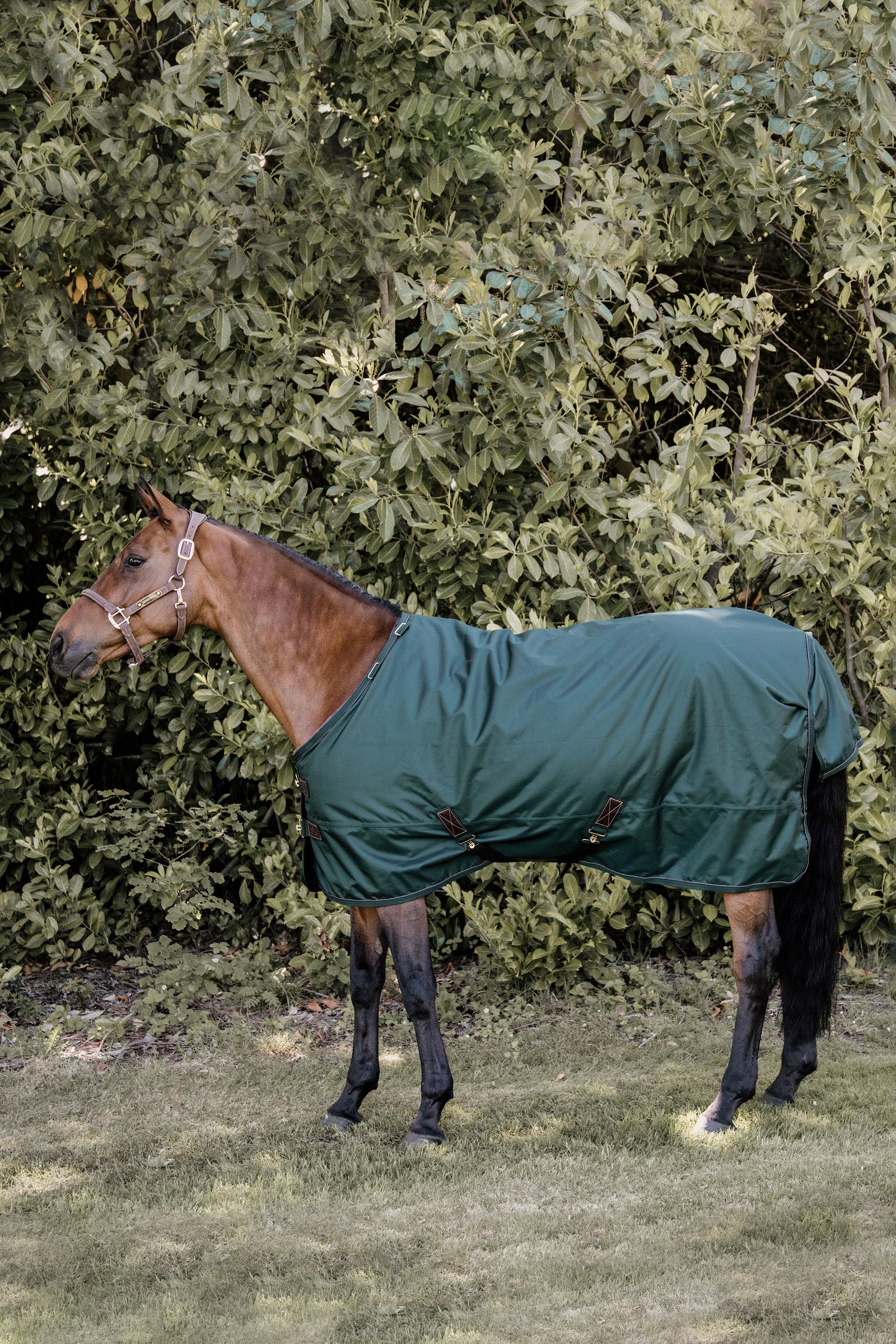 Kentucky Horsewear All Weather utedekken, 160 gram Dekken