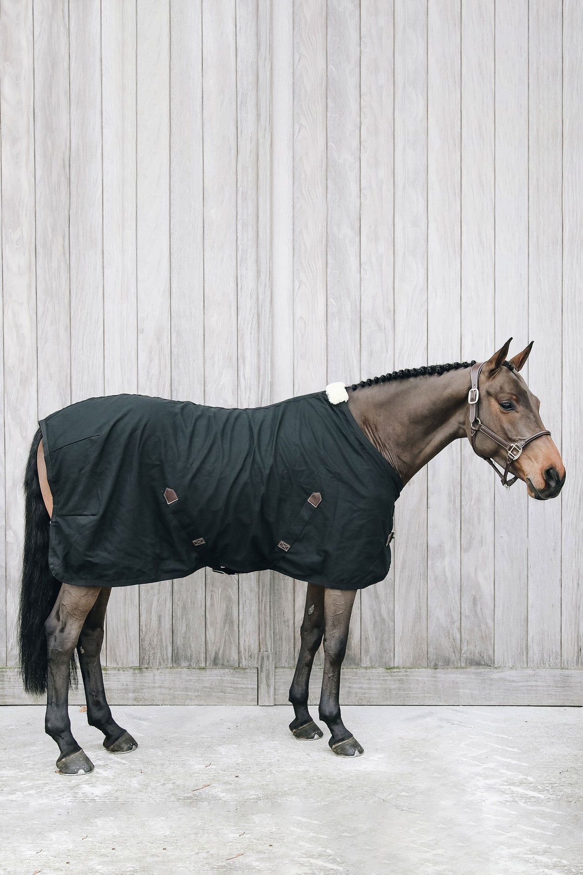 Kentucky Horsewear bomullsdekken Dekken