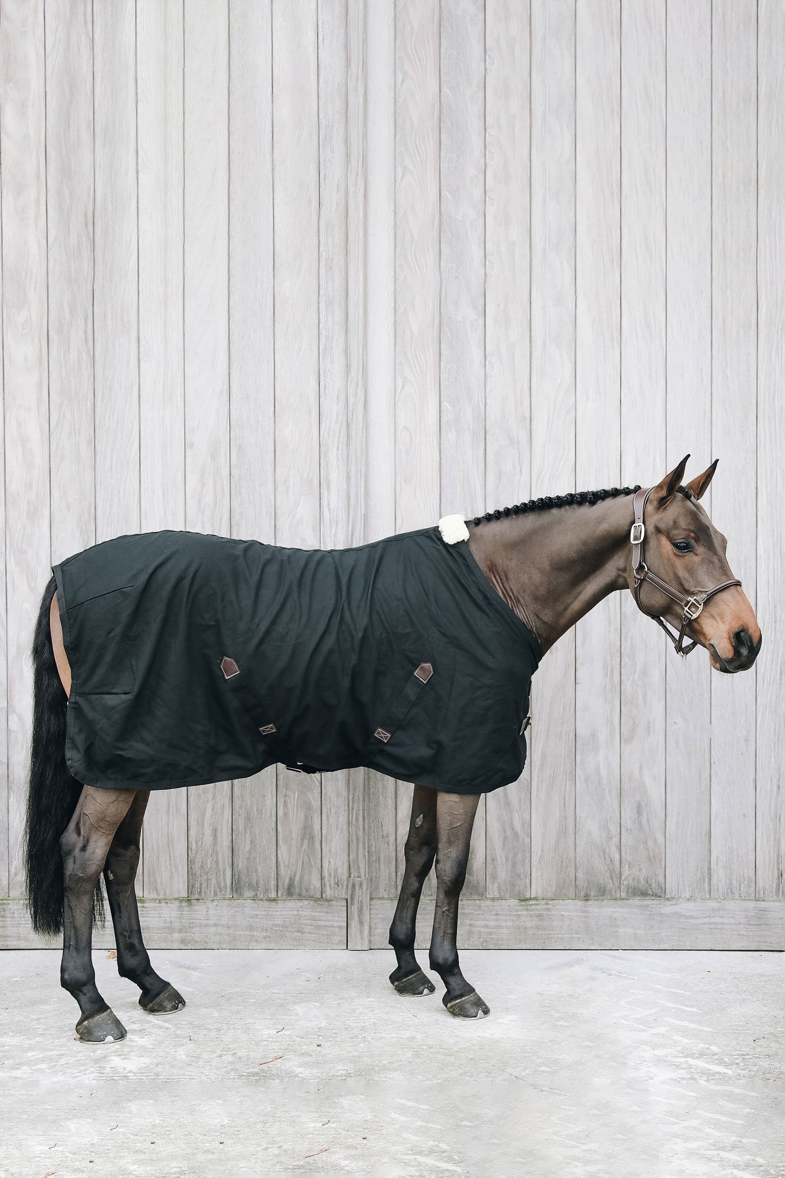 Kentucky Horsewear bomullsdekken Dekken
