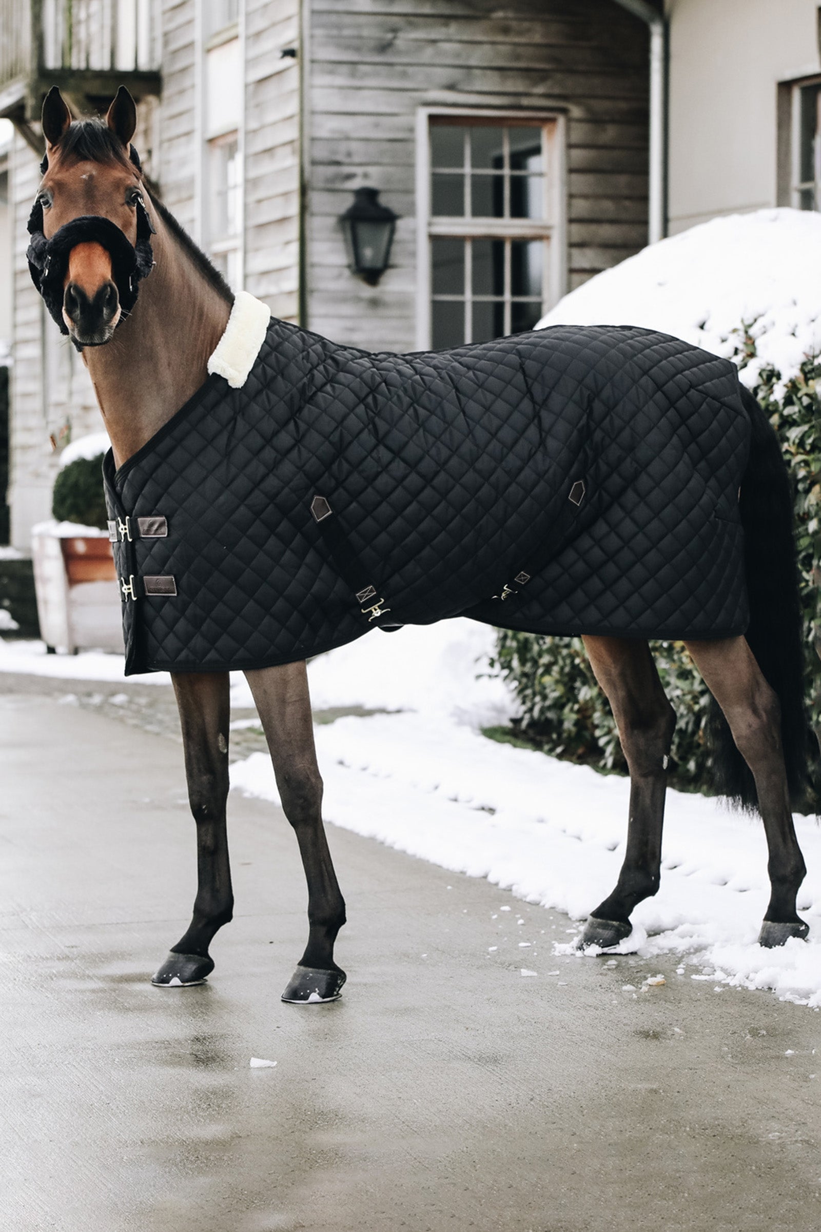 Kentucky Horsewear stalldekken, 400 gram Dekken