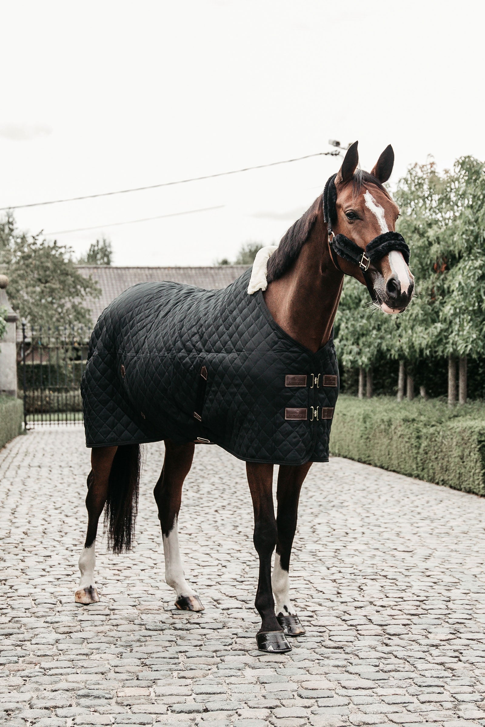 Kentucky Horsewear Stable Rug, 400g Horse Rugs