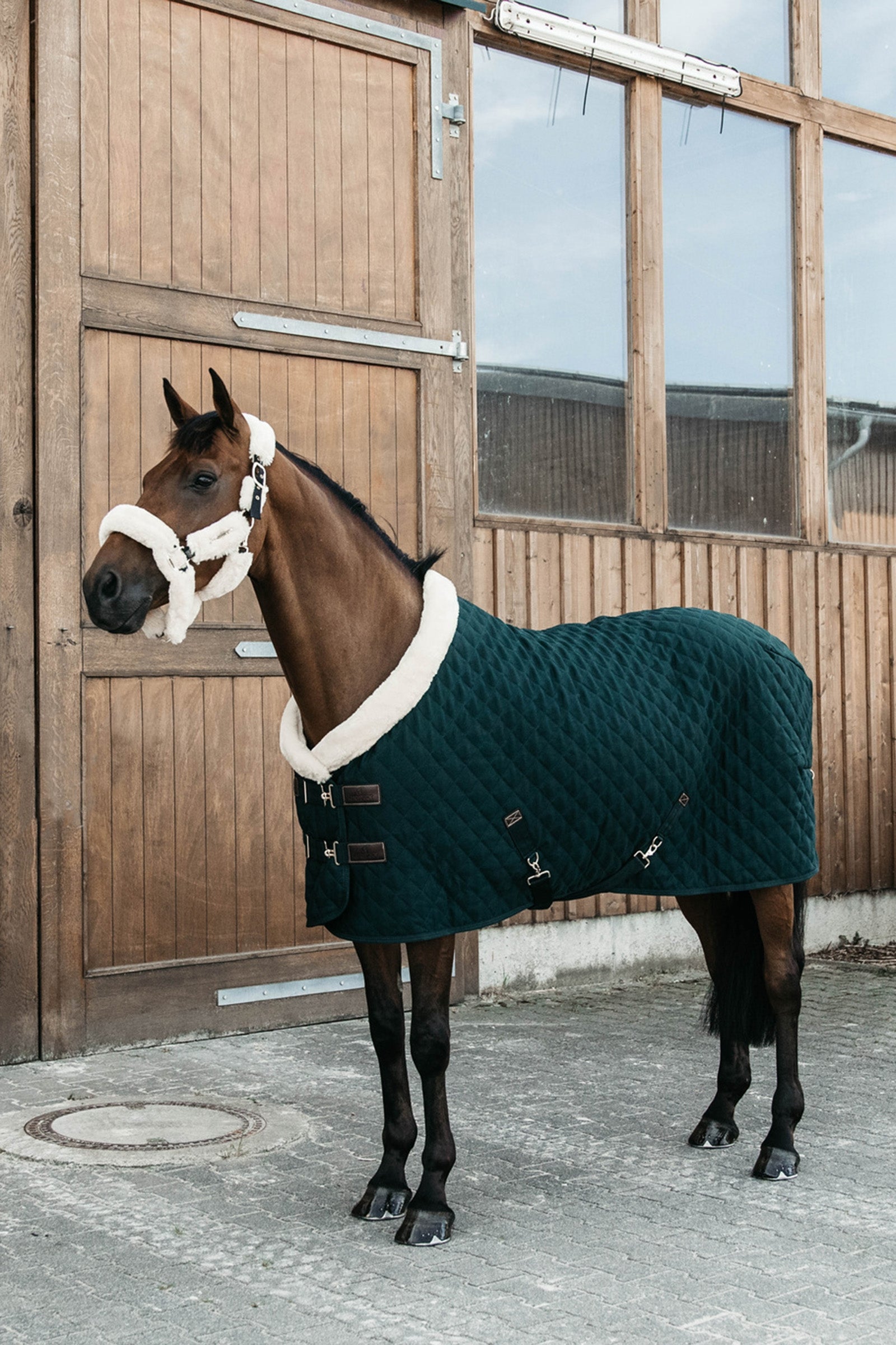 Kentucky Horsewear stevnedekken, 160 gram Dekken