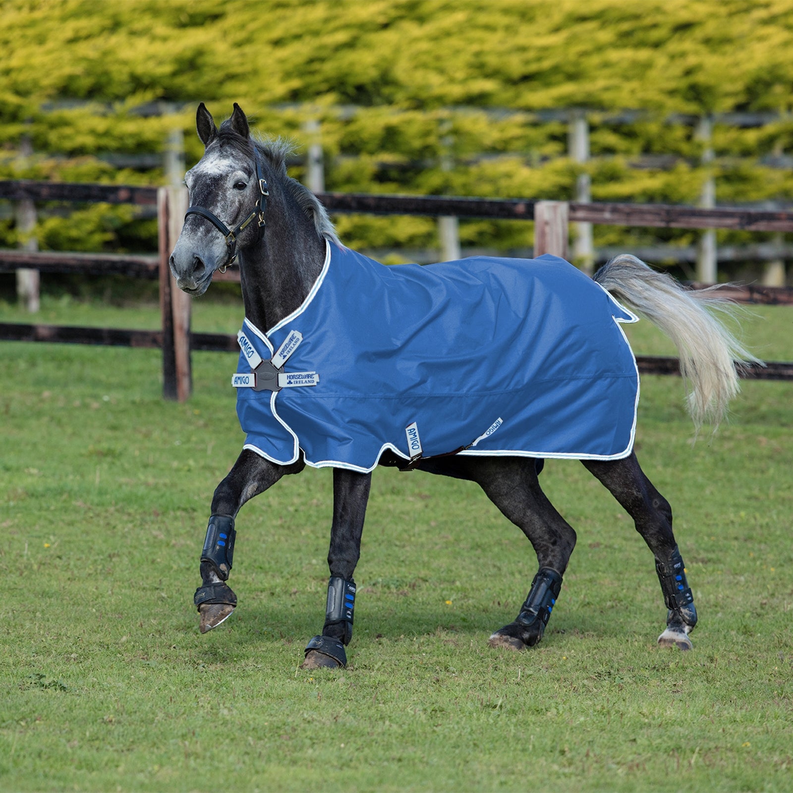 Horseware Amigo Hero 900 utedekken DF 50 gram Dekken