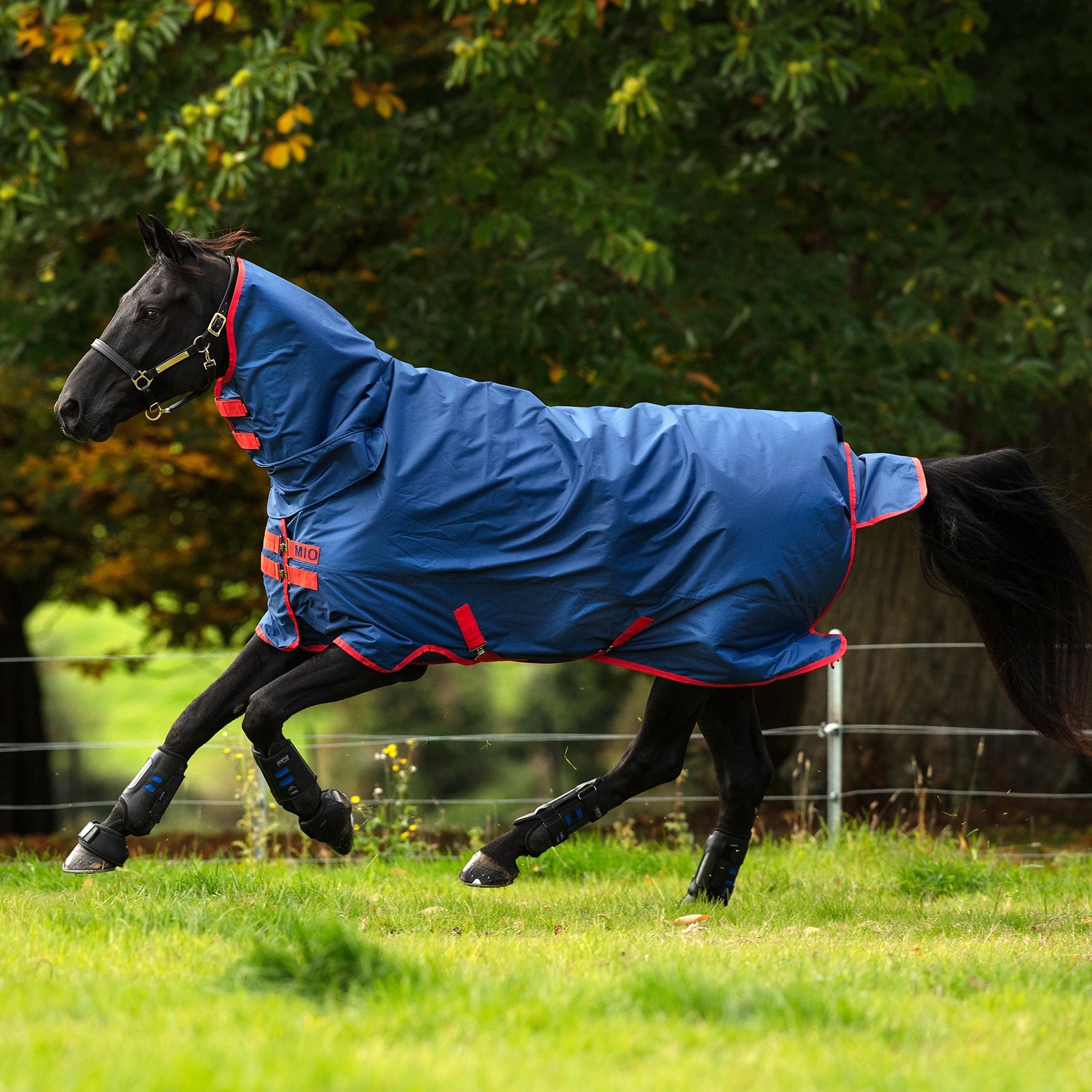 Horseware MioT/OLite alt-i-ett med hals, 0 g. Dekken