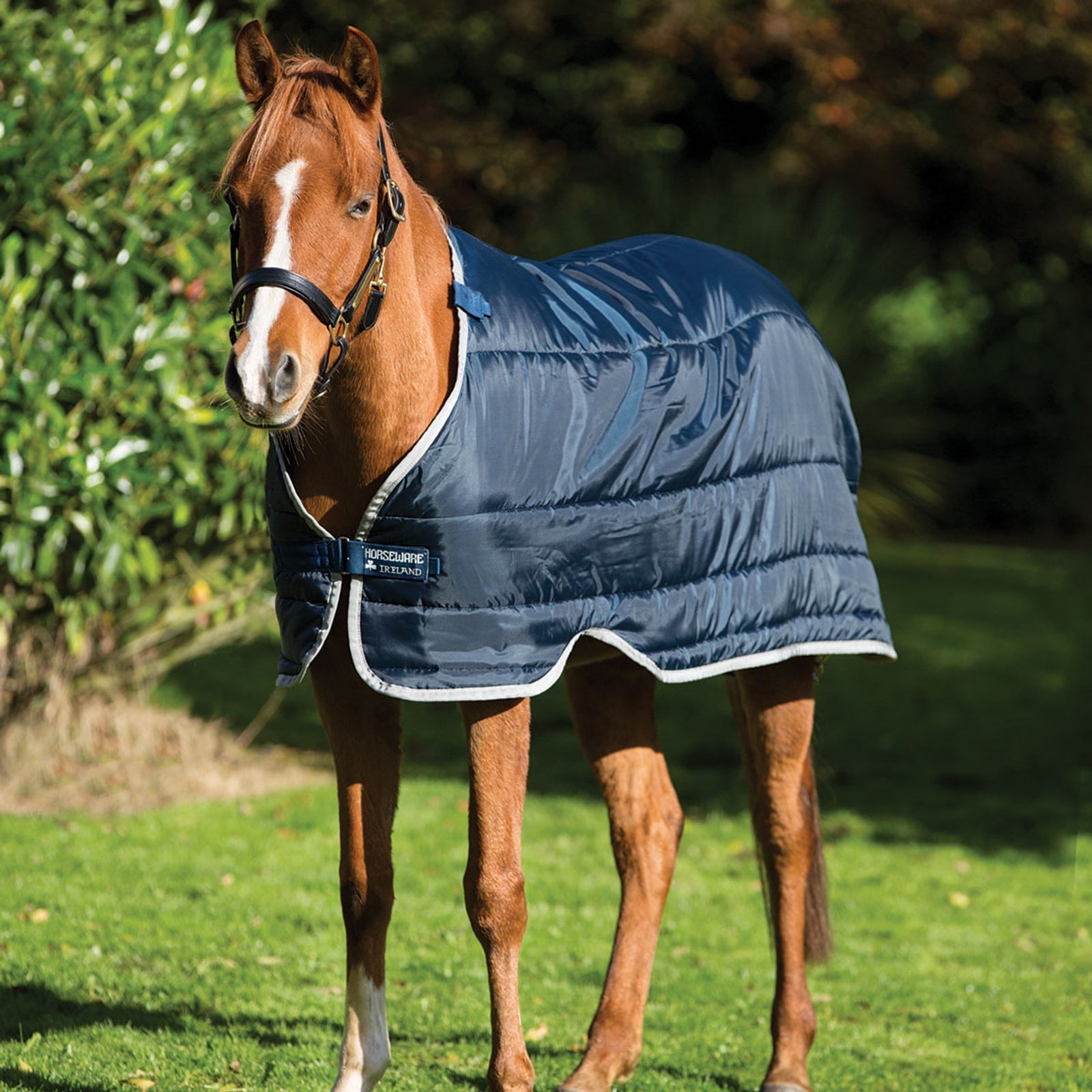 Horseware HW innerdekken til ponni 100g Dekken