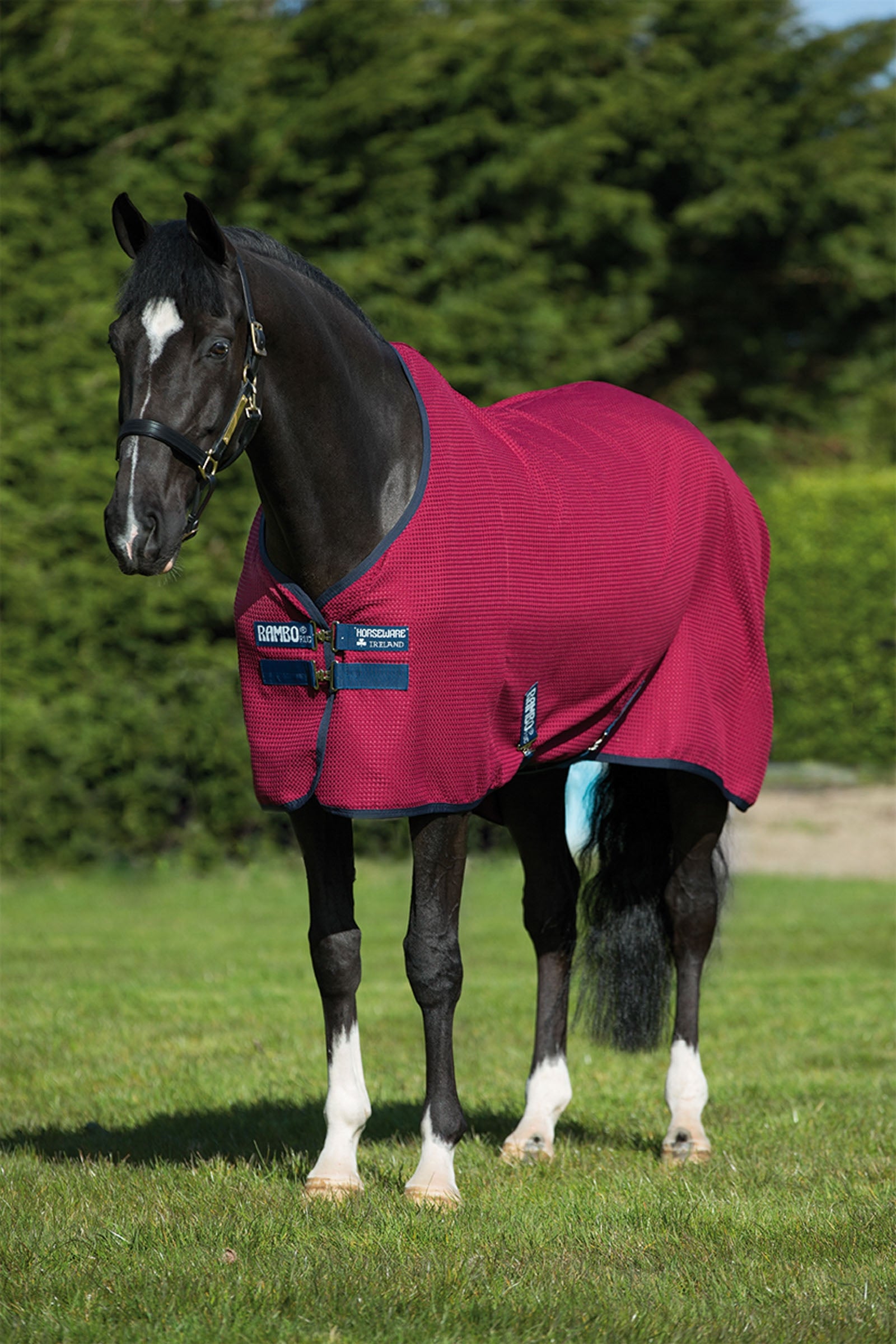 Horseware Rambo Techni vaffel svettedekken Dekken