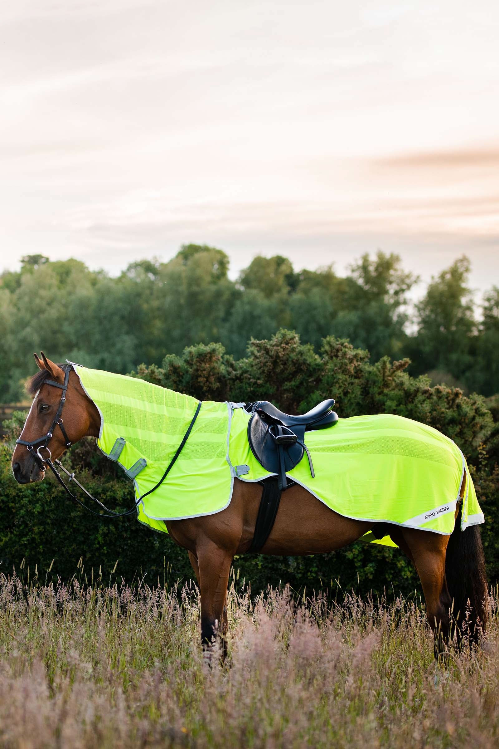 Horseware Amigo Flyrider treningsdekken, 0 g Dekken