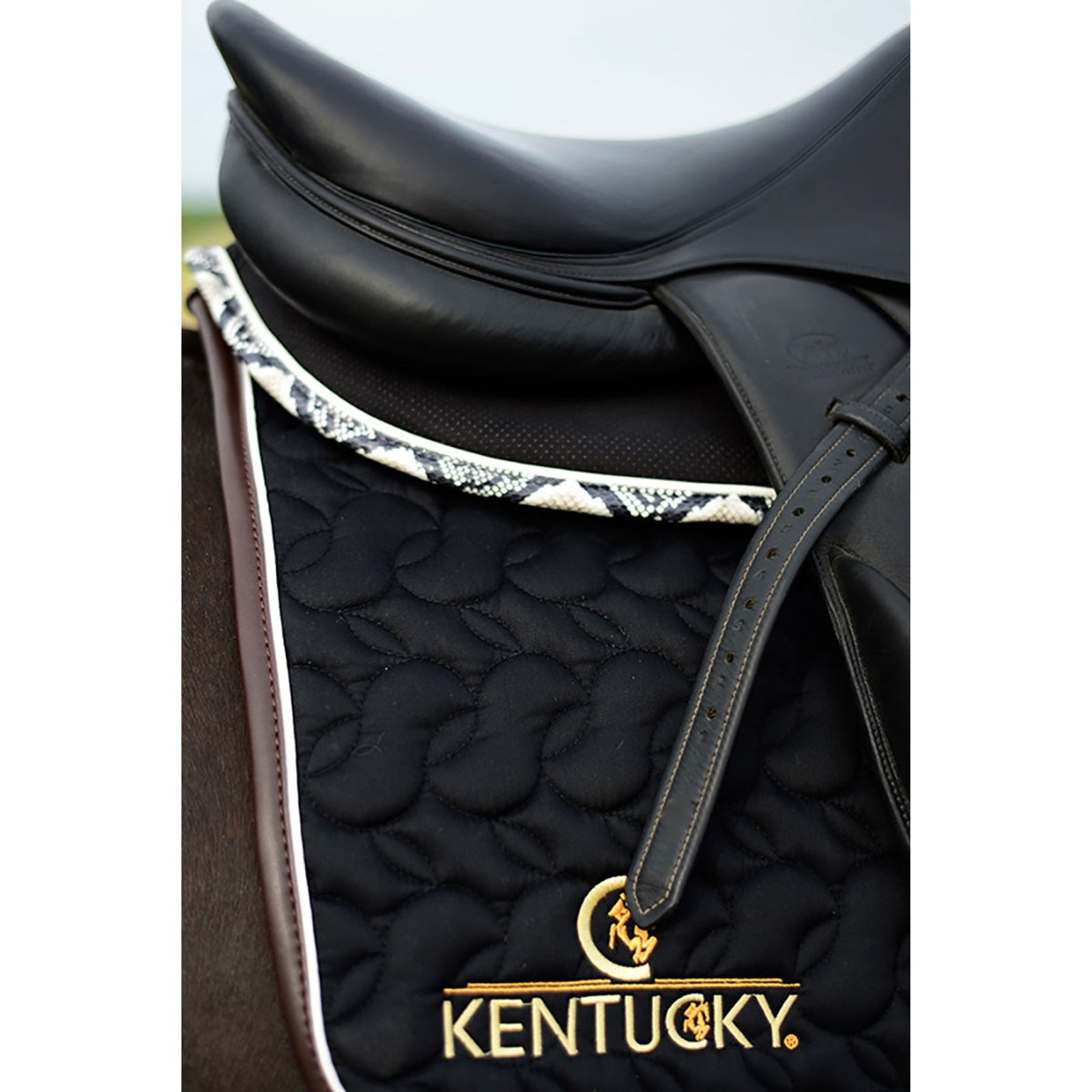 Kentucky Horsewear Absorb sjabrak Sjabraker