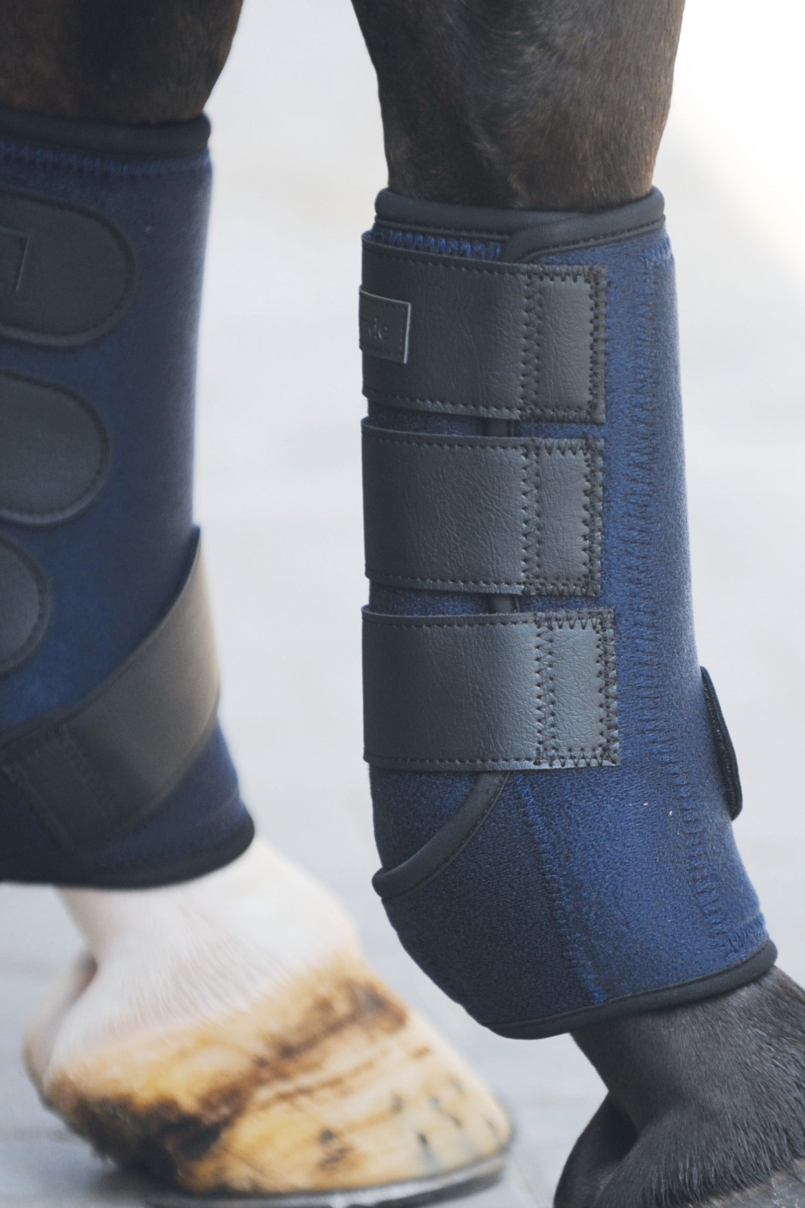 Kavalkade neoprenbeskyttere Leg Protection & Hoof Protection for Horses