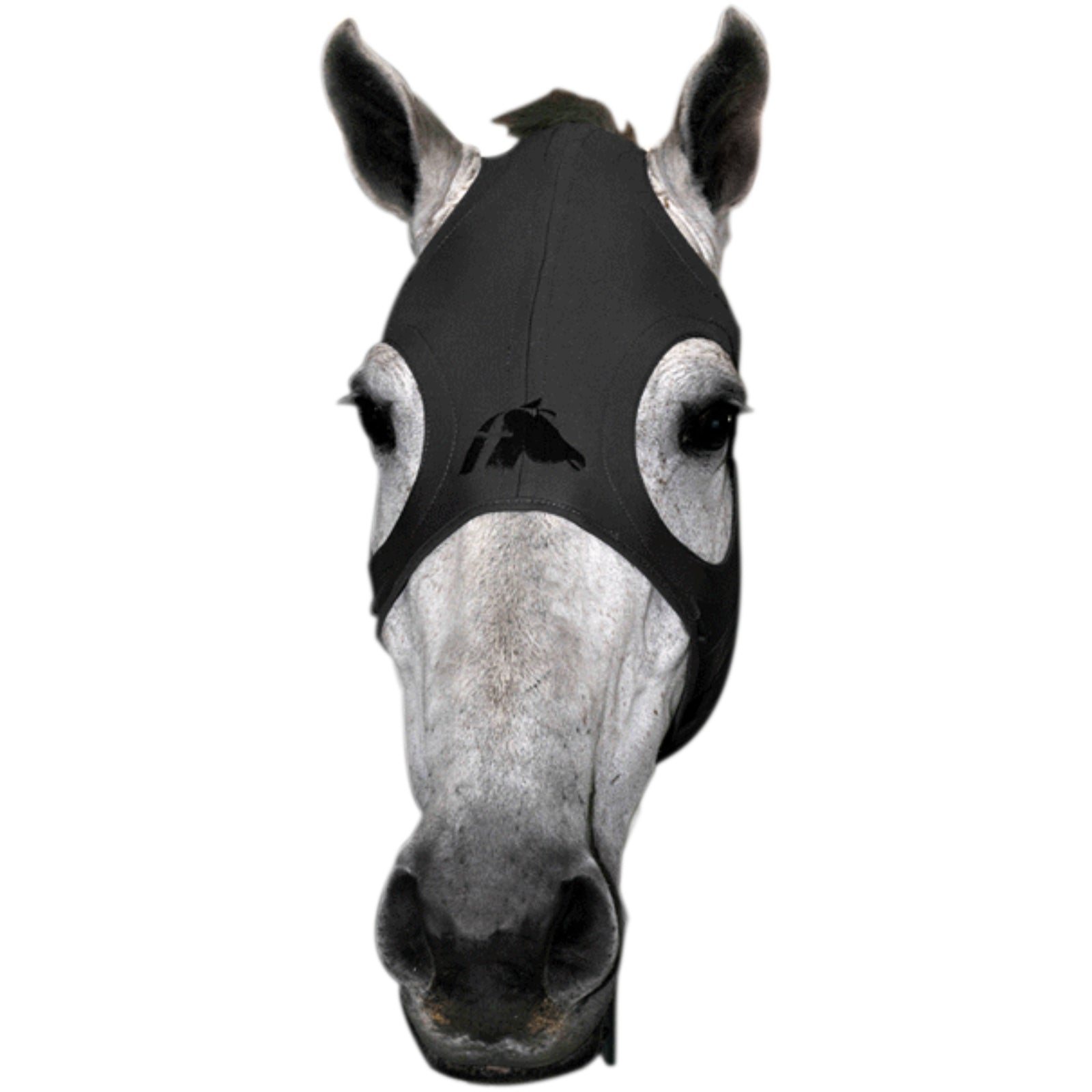 Fenwick Equestrian USA Fenwick Liquid Titanium Mask Travutstyr