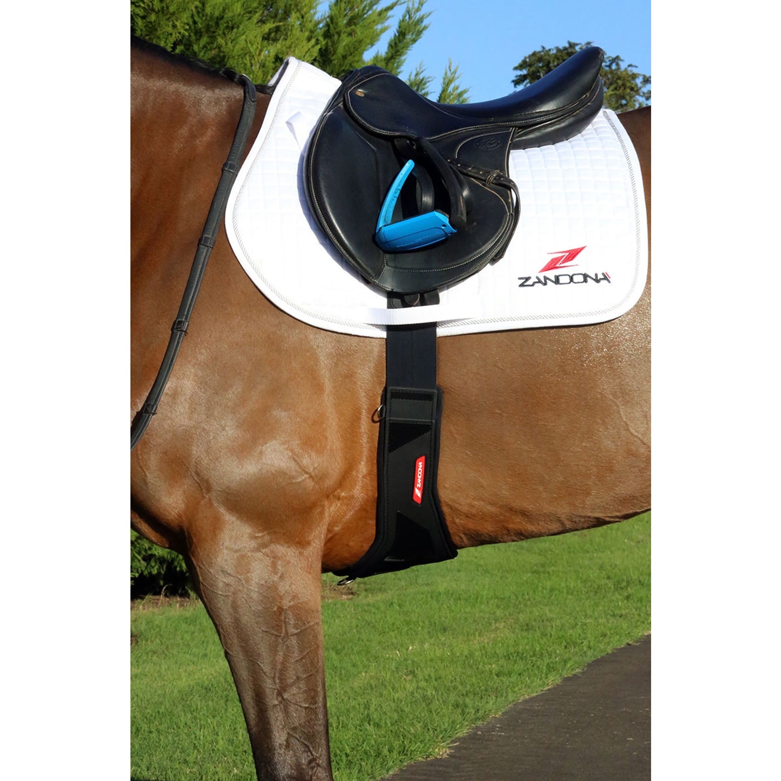 Zandona CARBON AIR Candy Girth Saddles, Girths & Stirrups