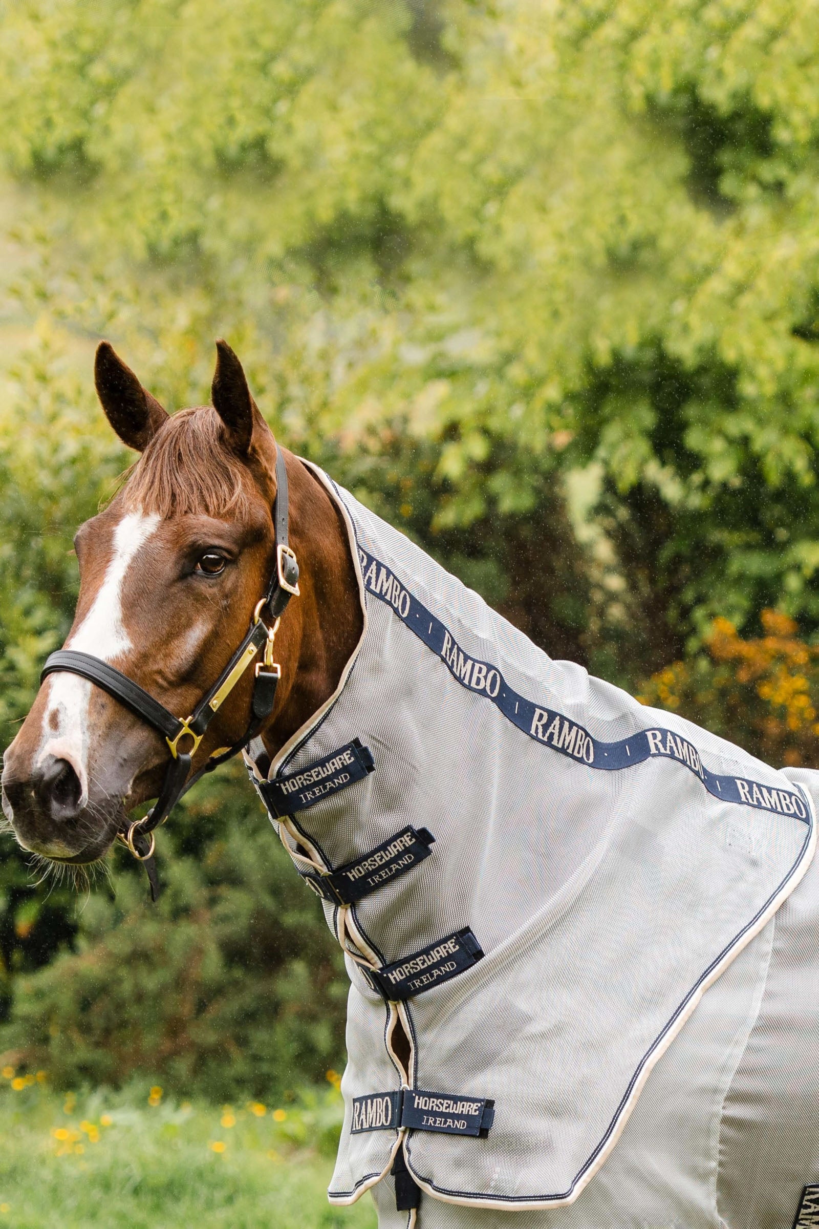 Horseware Rambo insektshals Dekken