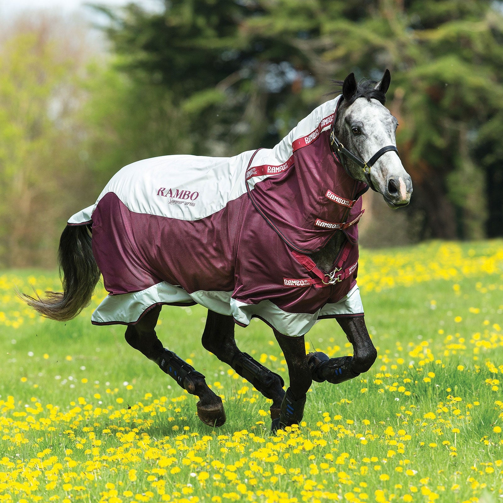 Horseware Rambo Summer Series utedekken med liner (0g / 100g) og avtakbar halsdel Dekken