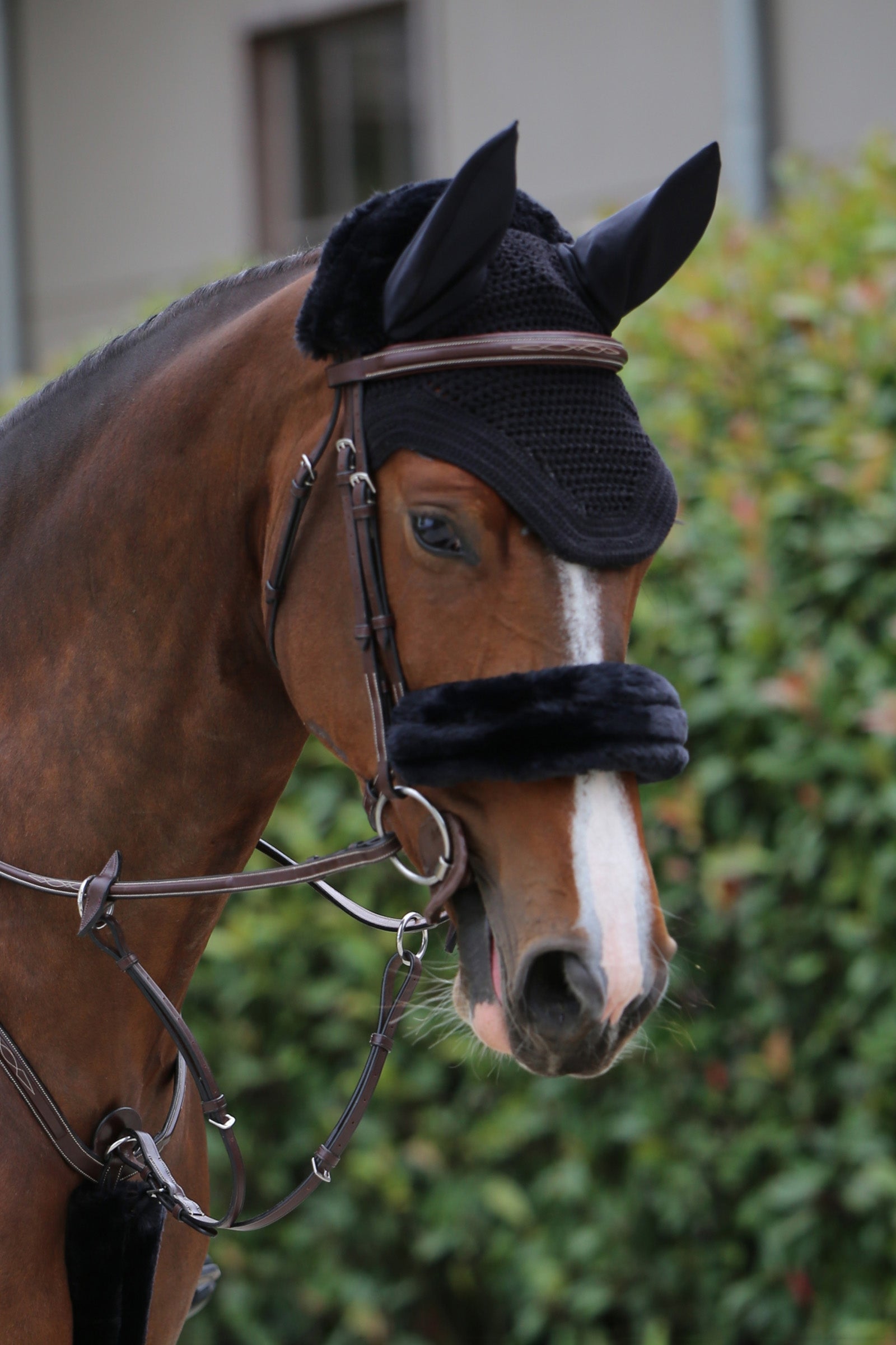 Kentucky Horsewear saueskinnsbeskyttelse for nesereim Hodelag & Tøyler