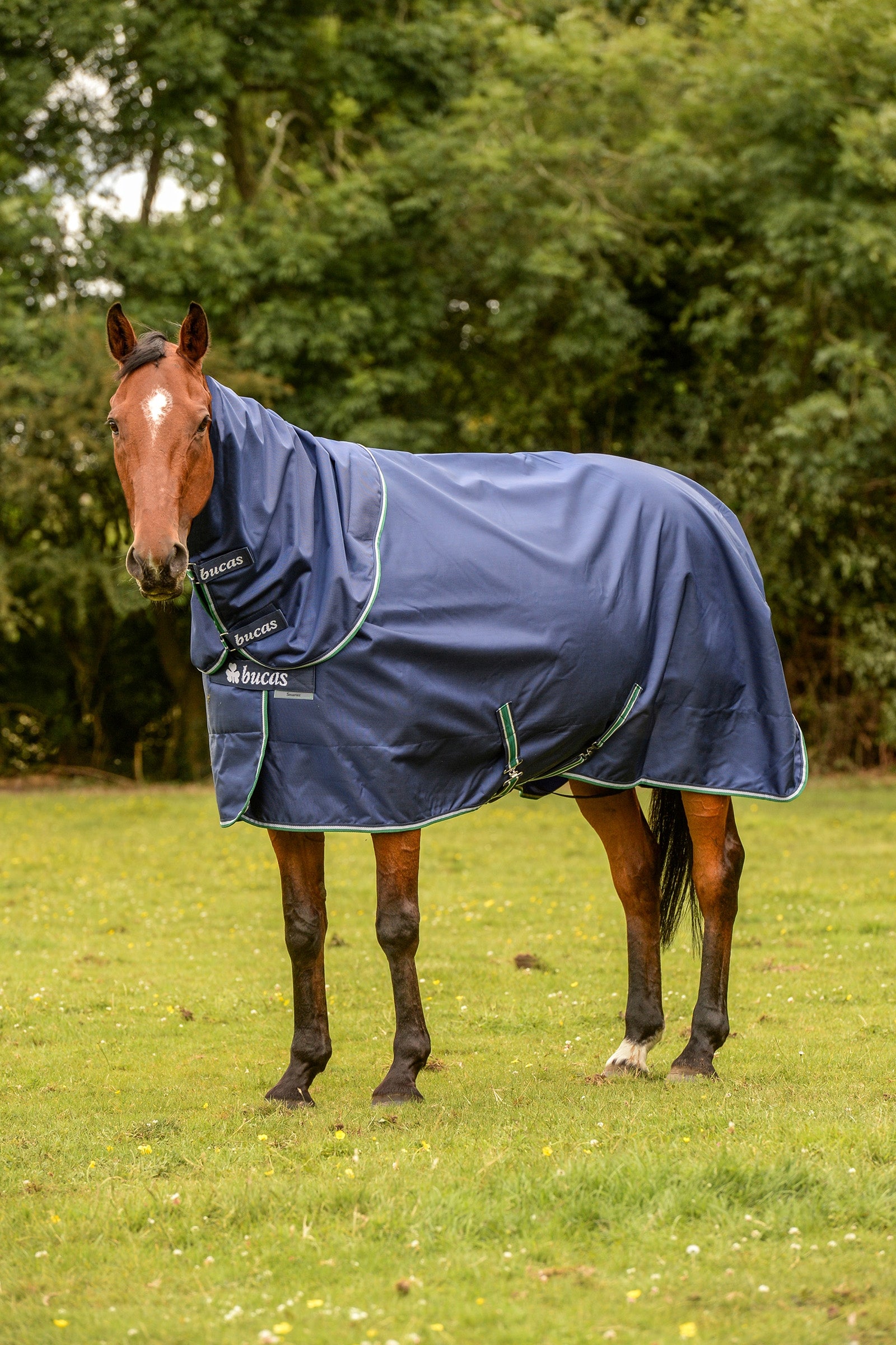 Bucas Smartex Rain Pony Turnout Rug with Cooling Function, 0g Dekken