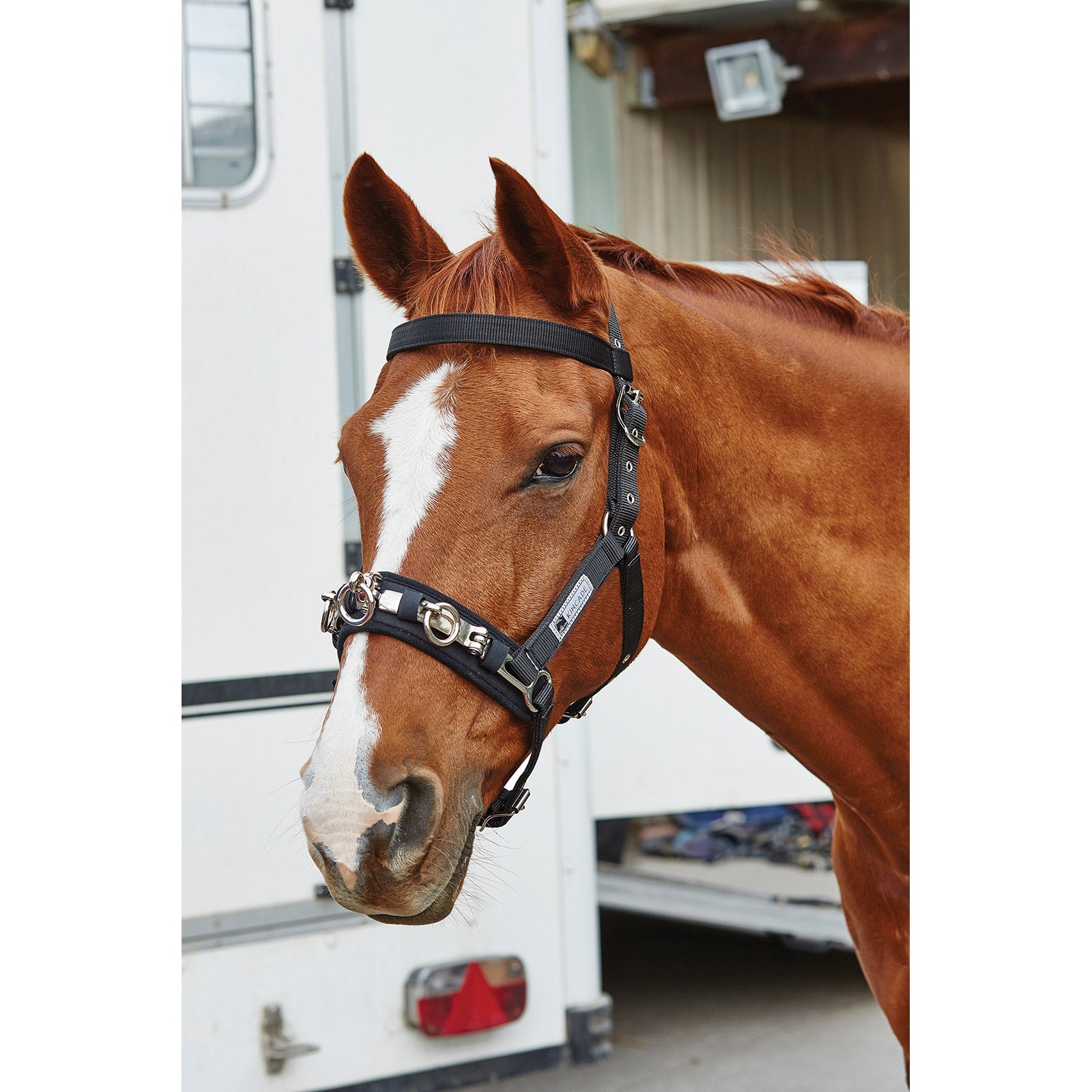 Kincade Cooridnate longeringskapsun Longering & Hjelpetøyler