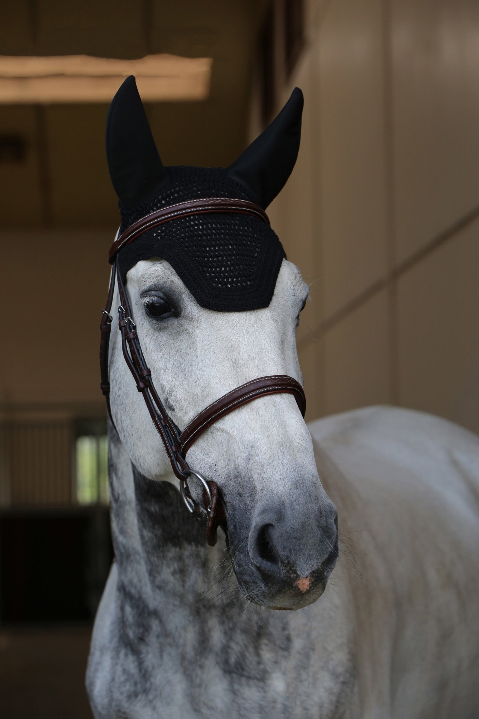 Kentucky Horsewear Wellington ørehette lydtett Sjabraker