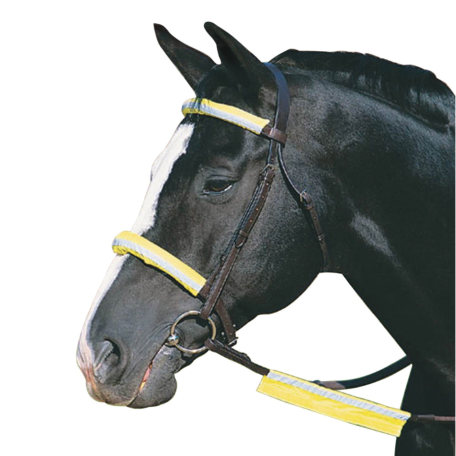 Roma Reflective Bridle Kit Bridles & Reins