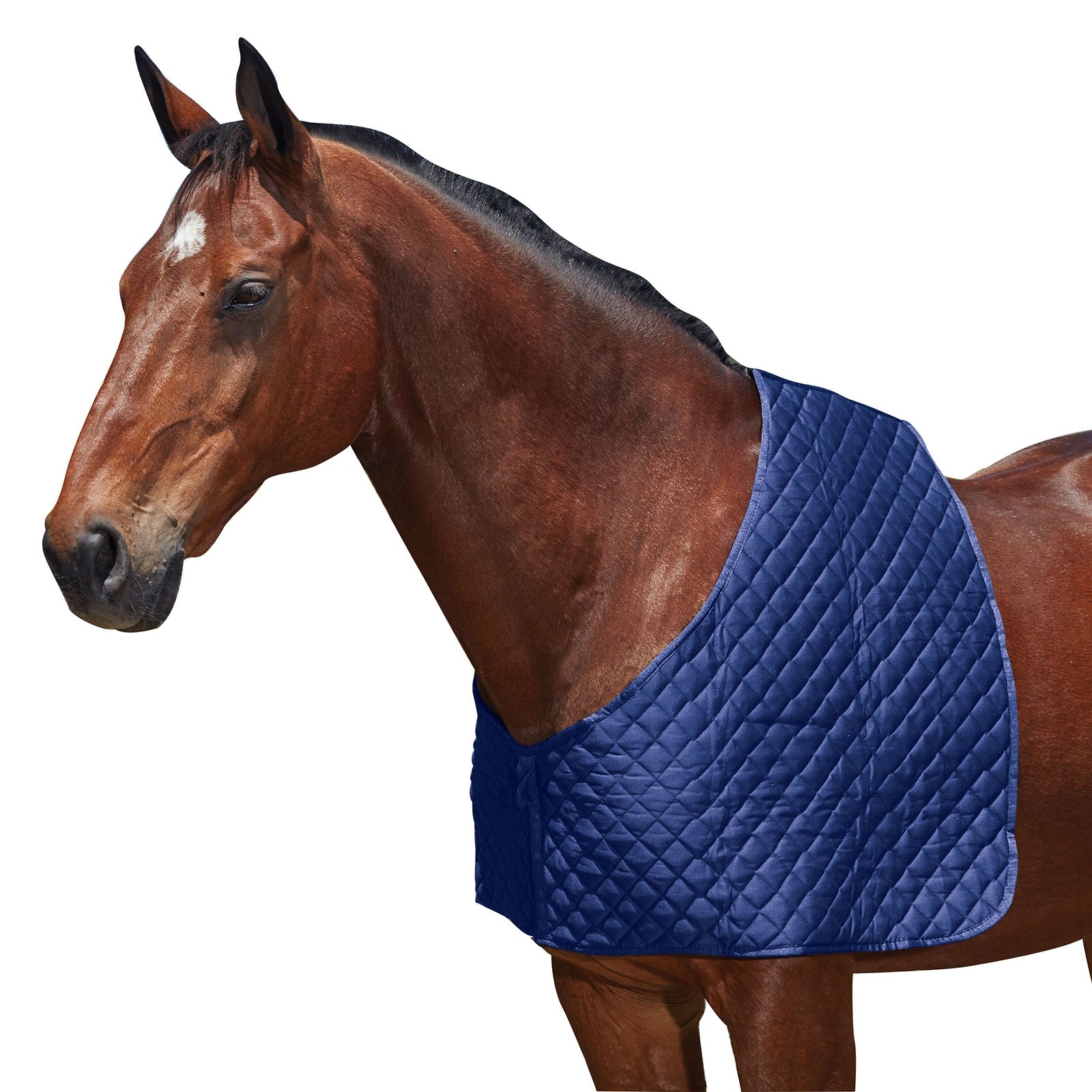 Weatherbeeta Weatherbeeeta Deluxe bogbeskyttelse Dekken