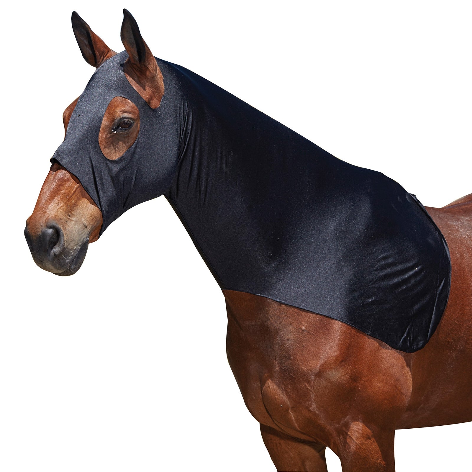 Weatherbeeta Stretch Hood Horse Rugs