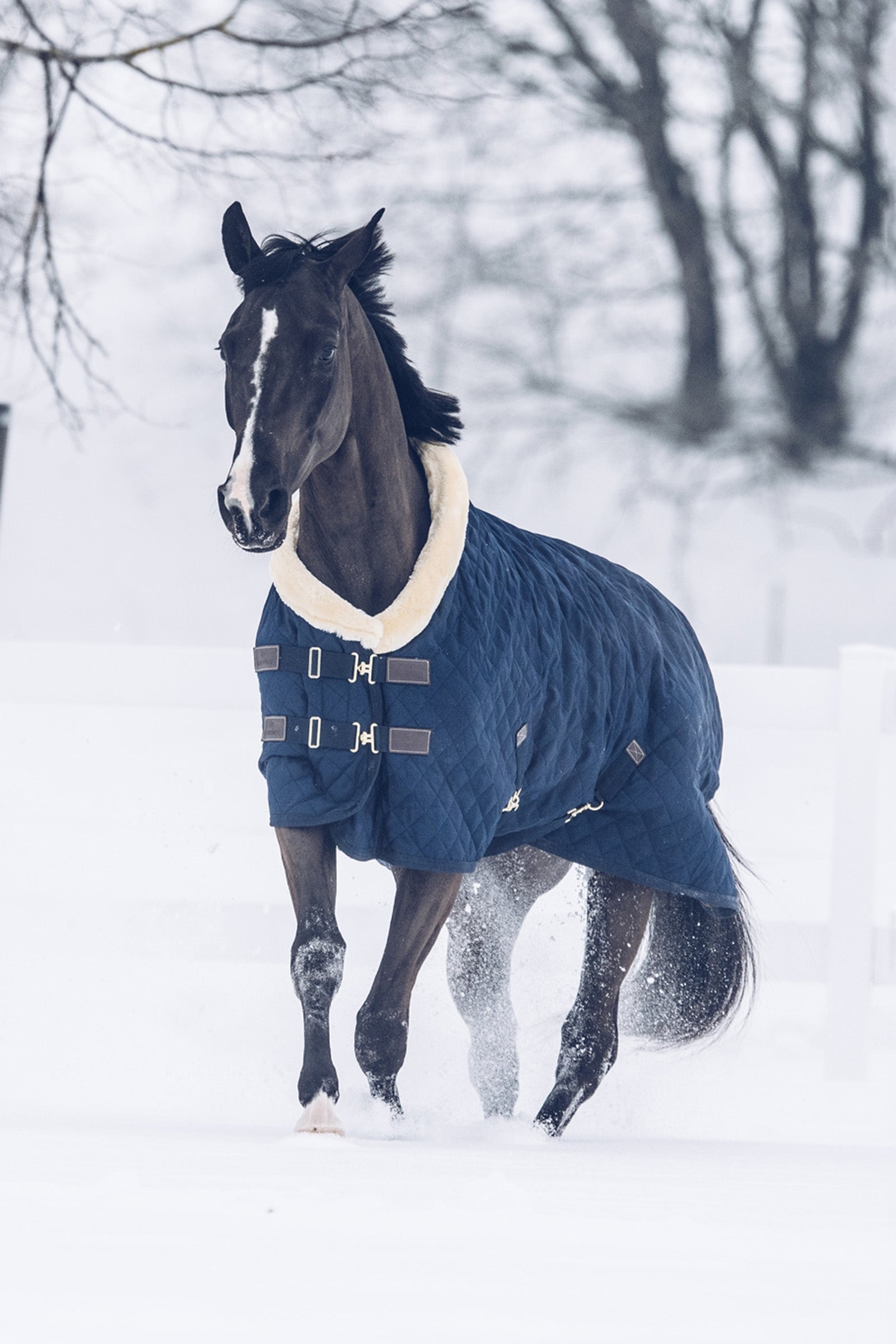 Kentucky Horsewear showdekken, 160 gram Dekken