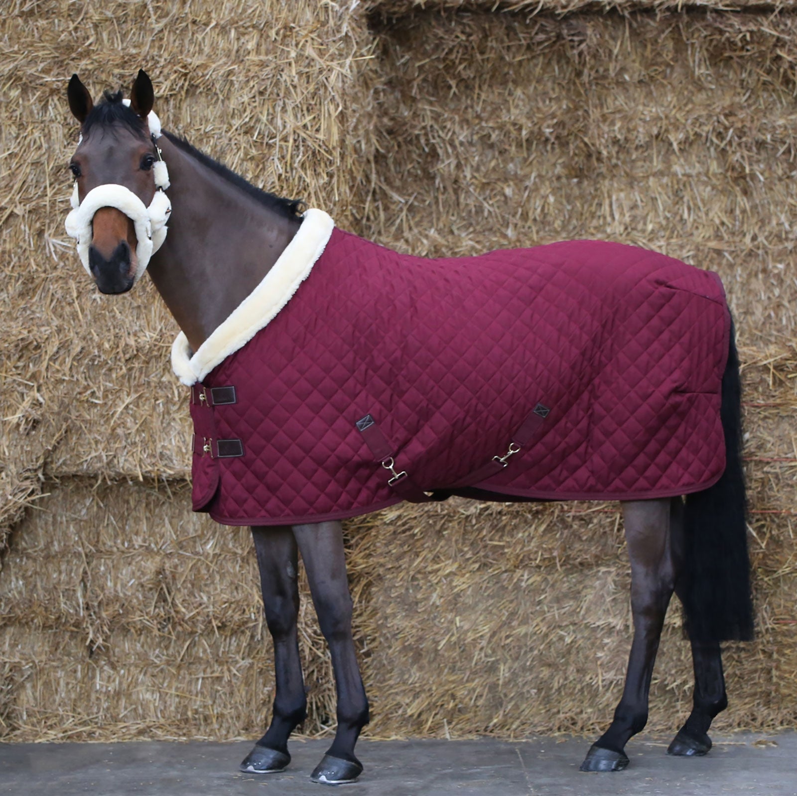 Kentucky Horsewear showdekken, 160 gram Dekken