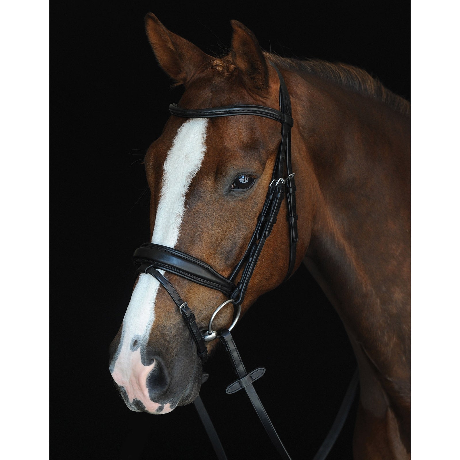 Collegiate Mono Crown Padded Raised hodelag med aachennesereim Hodelag & Tøyler