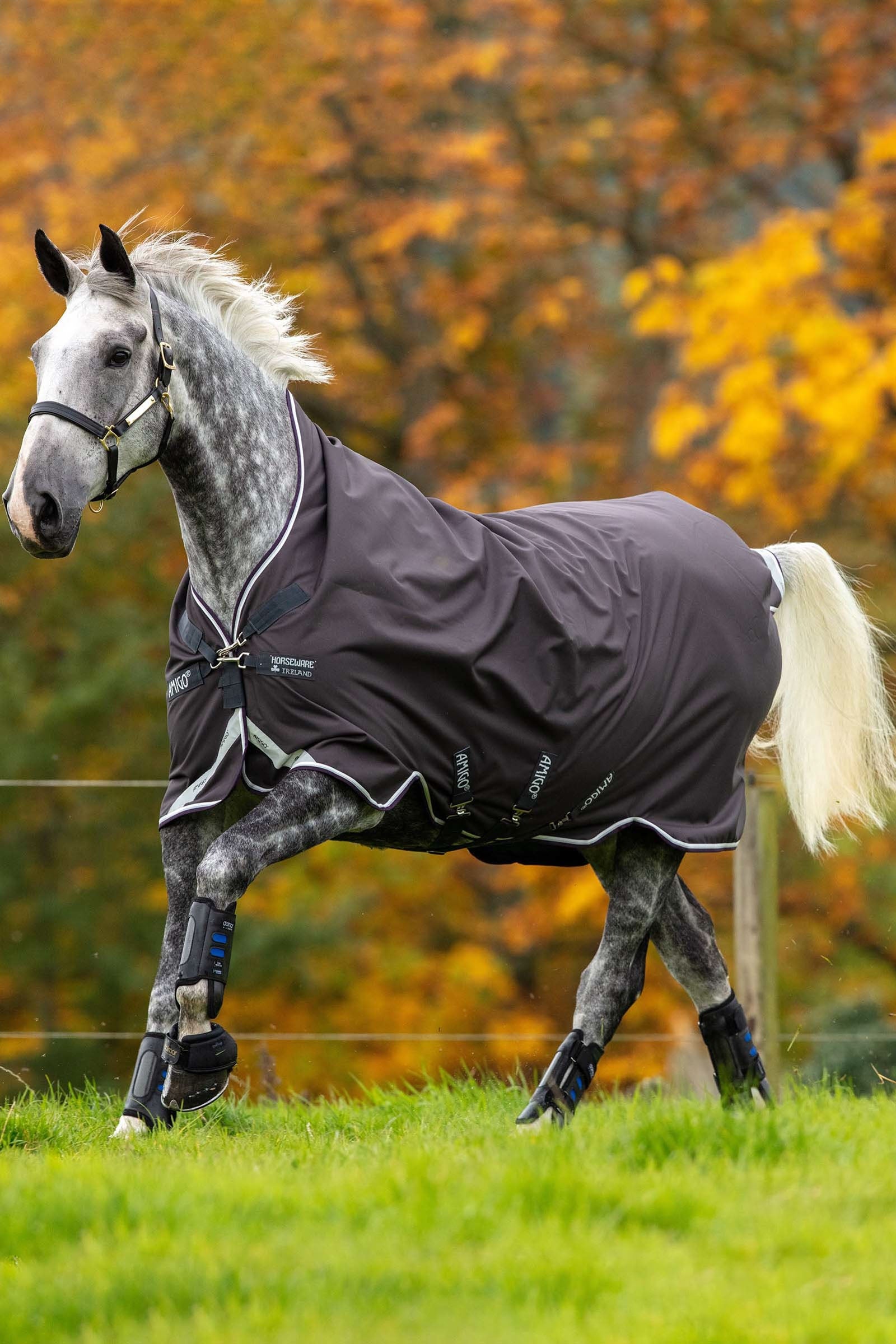 Horseware Amigo Bravo 12 Wug utedekken med høy hals, 0 g Dekken