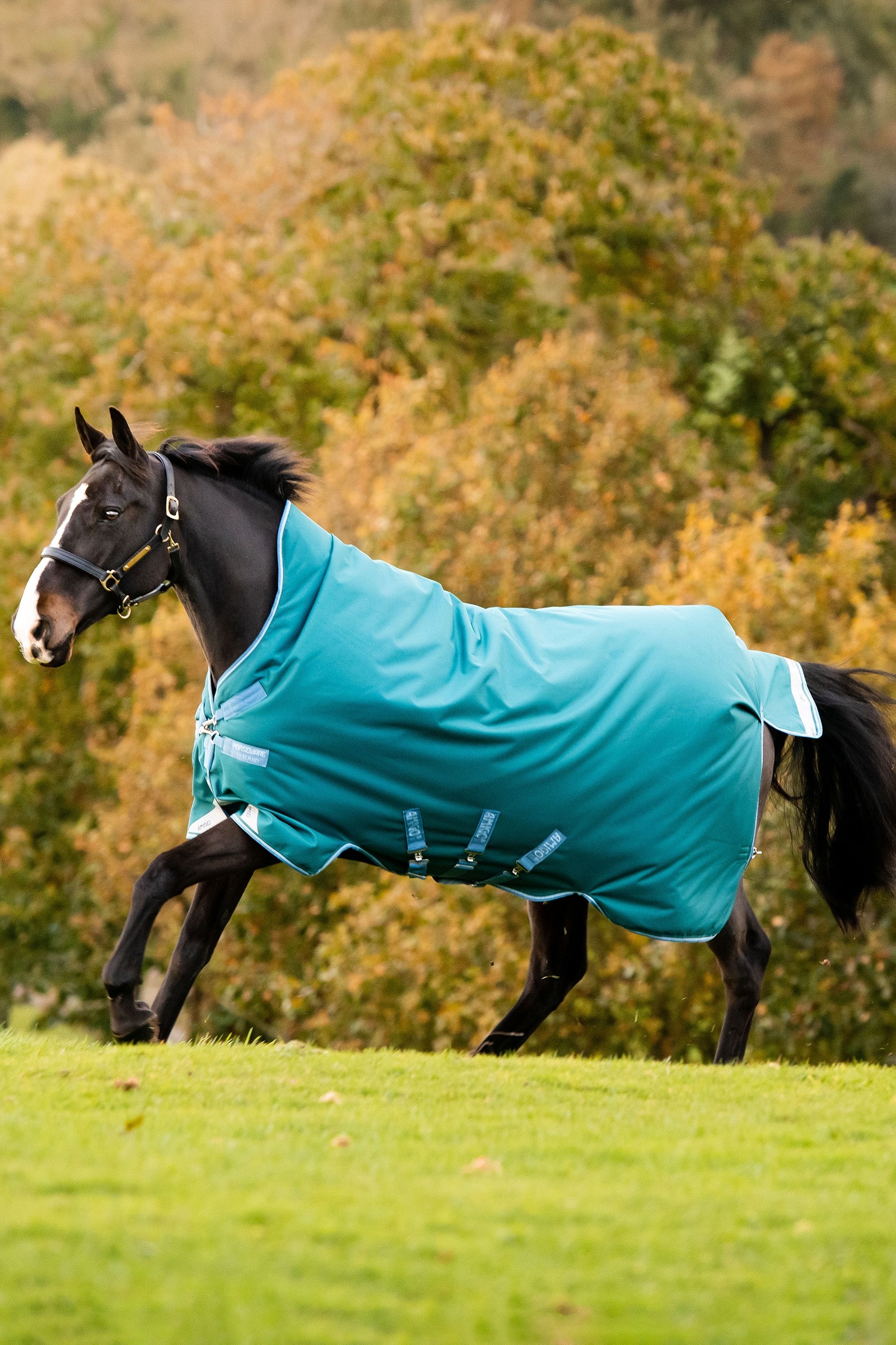 Horseware Amigo Bravo 12 Wug Turnout Rug With High Neck, 0g Horse Rugs