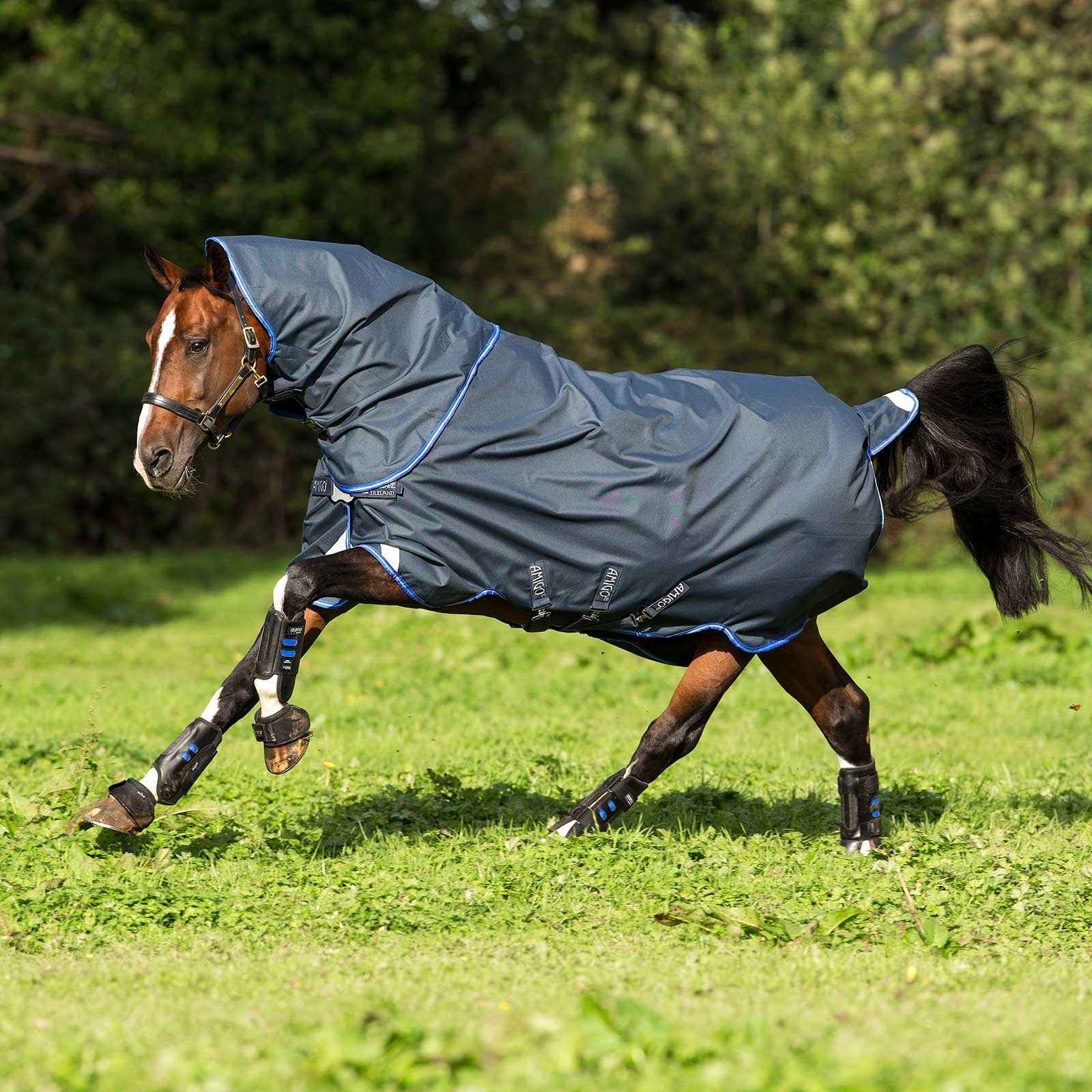 Horseware Amigo Bravo 12 Plus utedekken lett med ny frontluk, 0 gram Dekken