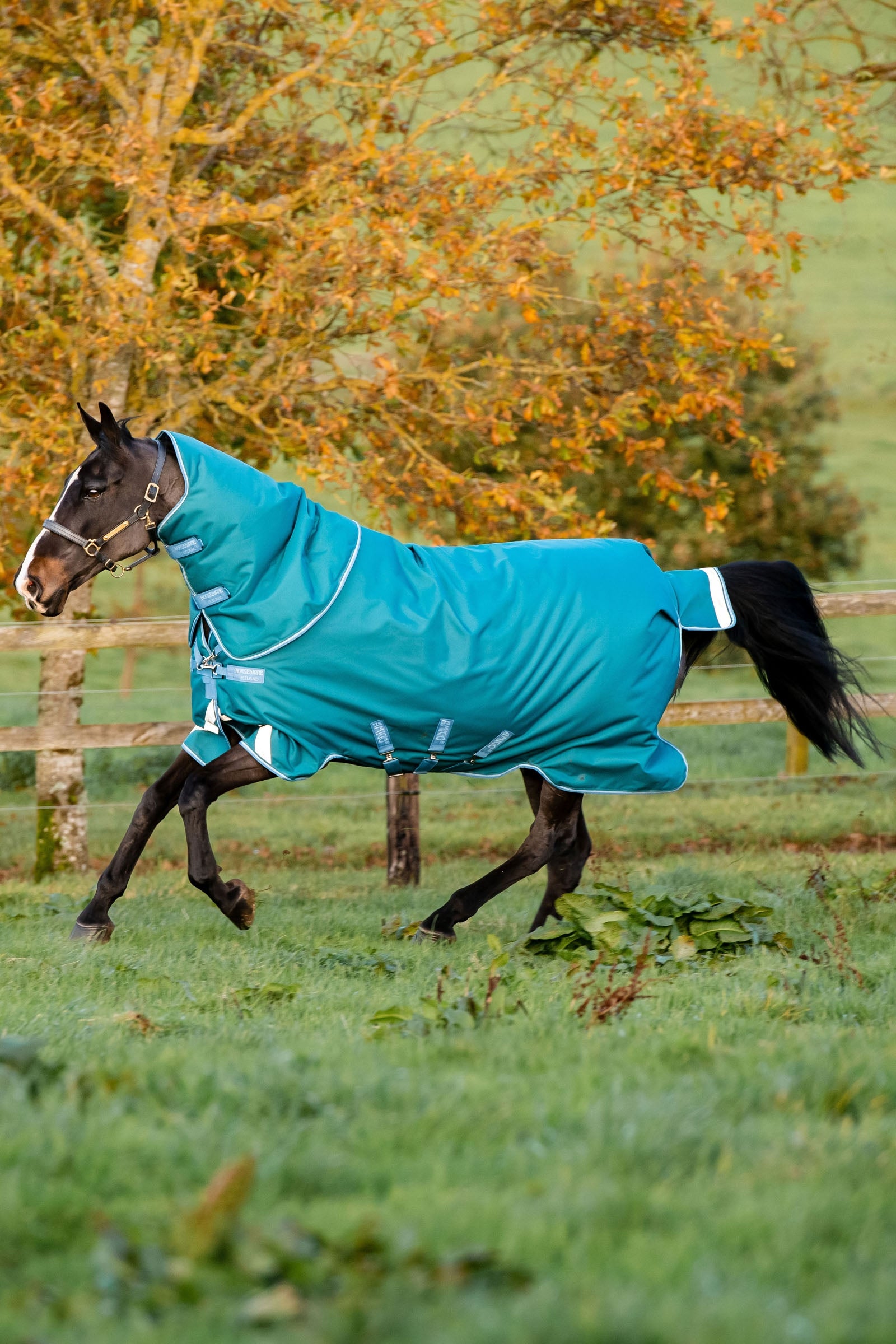 Horseware Amigo Bravo 12 Plus utedekken med avtakbar hals, 400g Dekken