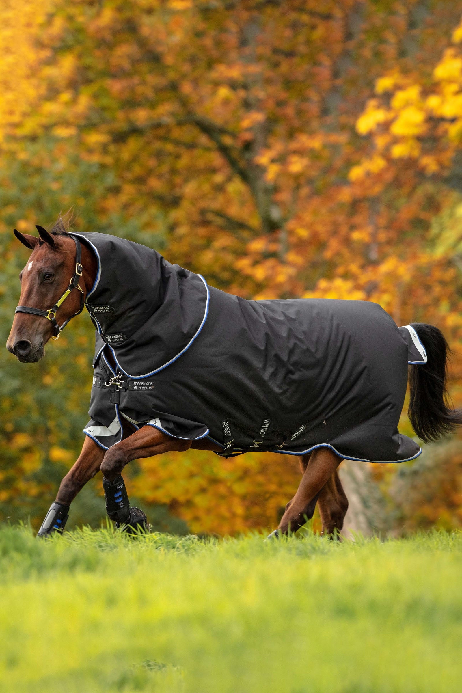 Horseware Amigo Bravo 12 Plus utedekken, 250 g Dekken