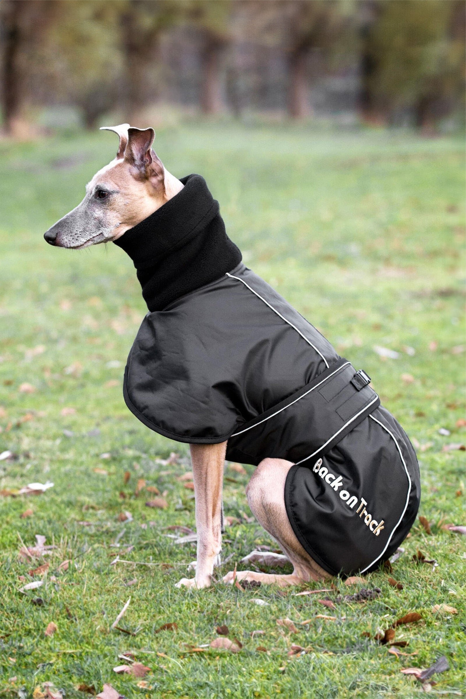 Back on Track Whippet hundedekken, XS-M Hundeutstyr