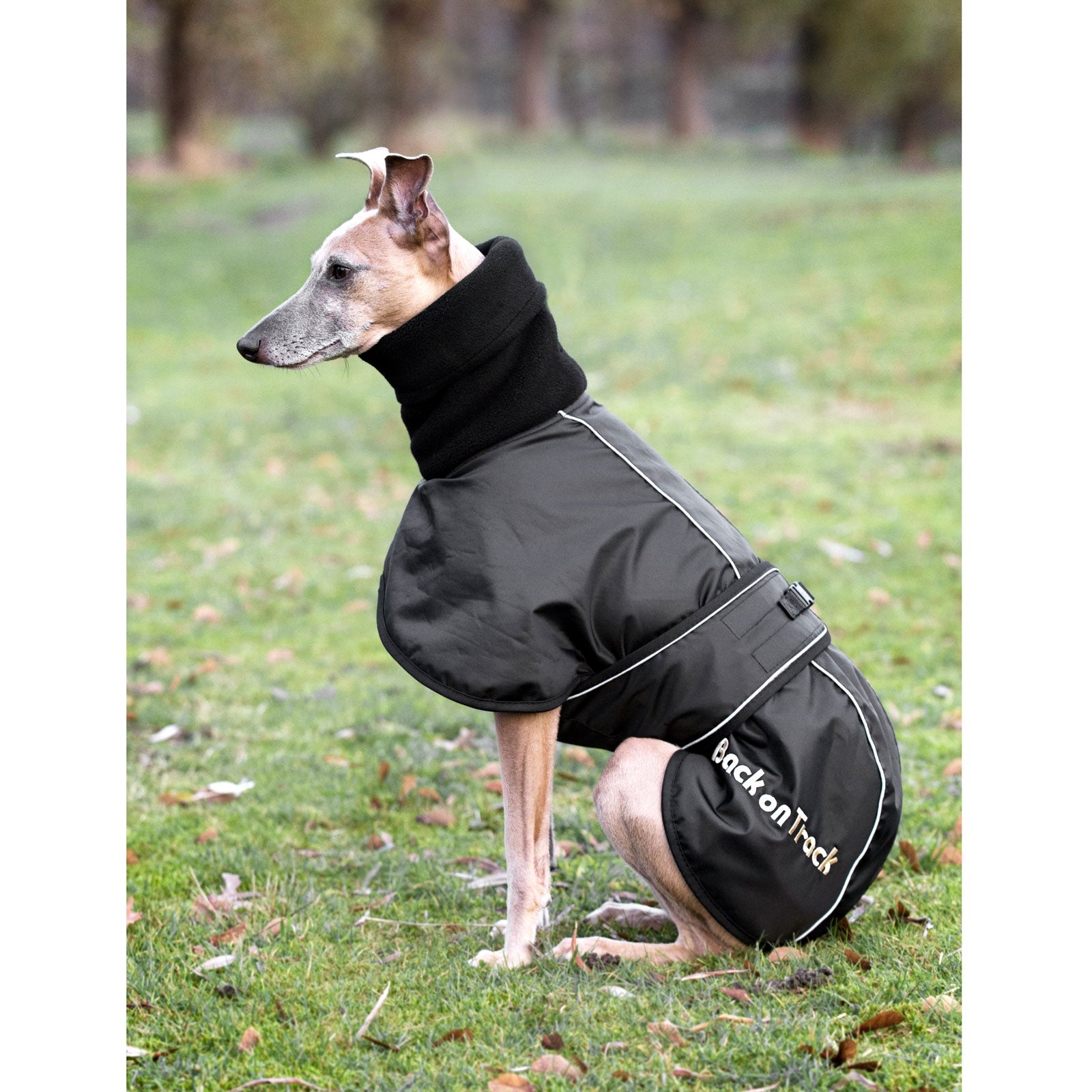 undefined Back on Track Whippet Dog Rug, XS-M Dog Accesories