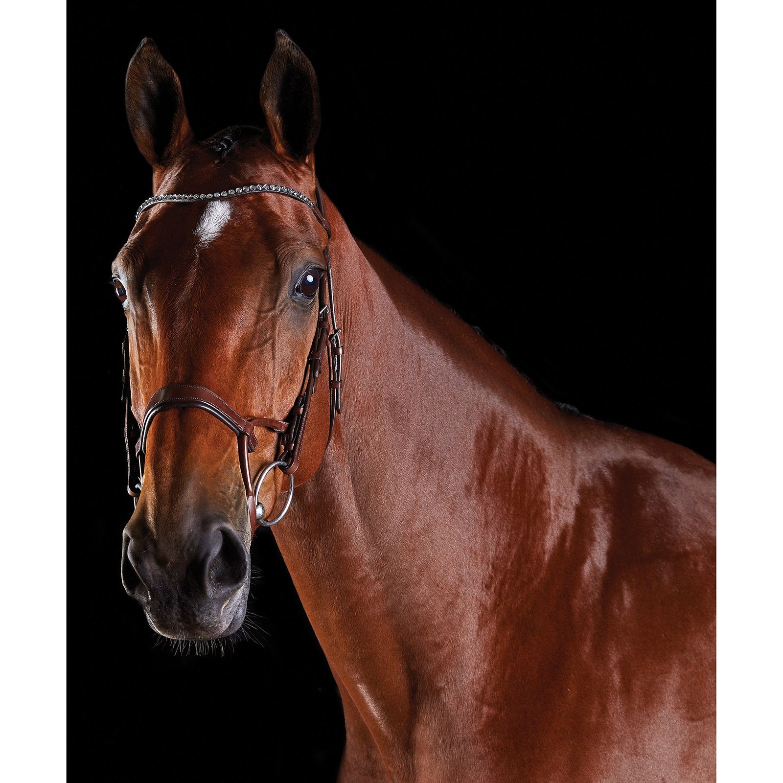 Collegiate ComFiTec Crystal Bridle Bridles & Reins