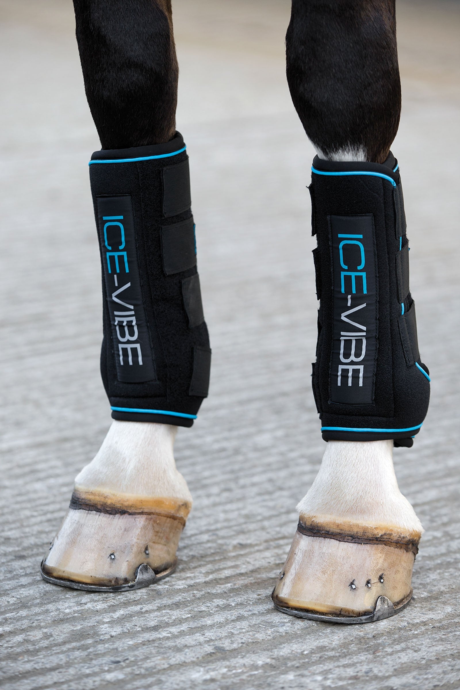 Horseware Ice-Vibe belegg Leg Protection & Hoof Protection for Horses