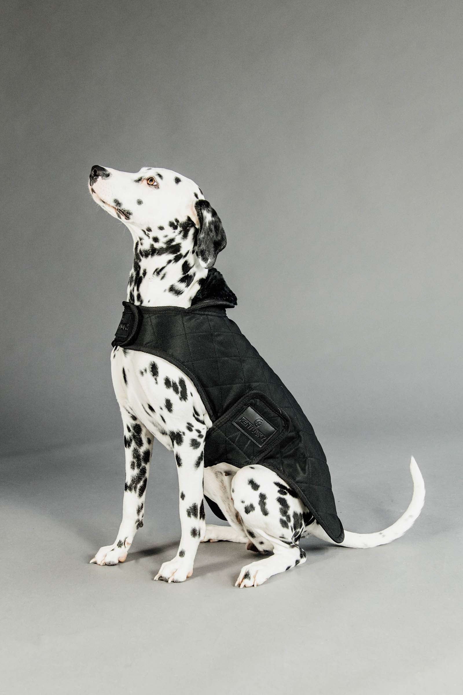 Kentucky Dogwear hundedekken Hundeutstyr