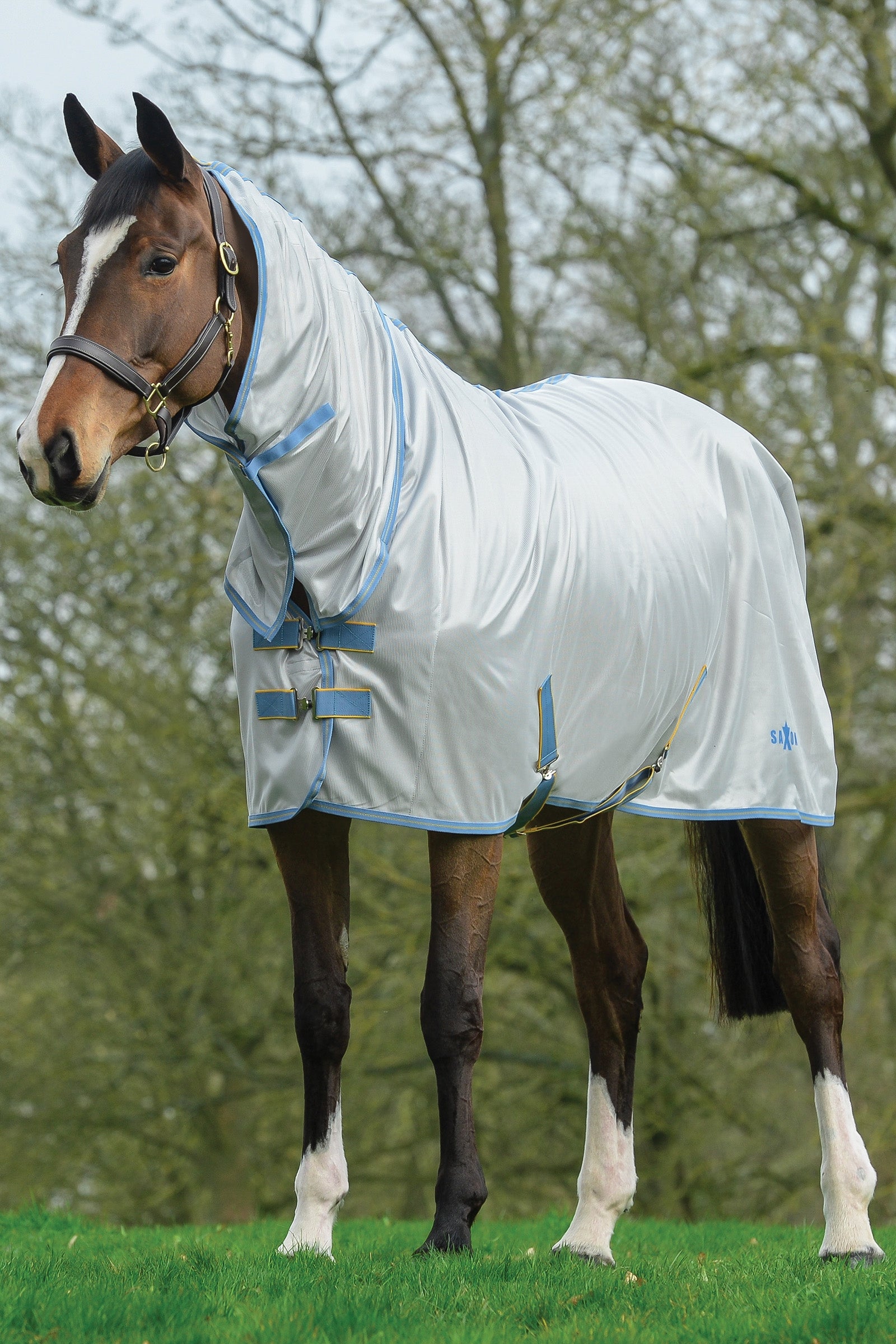 Saxon Mesh Combo dekken med hel hals Dekken