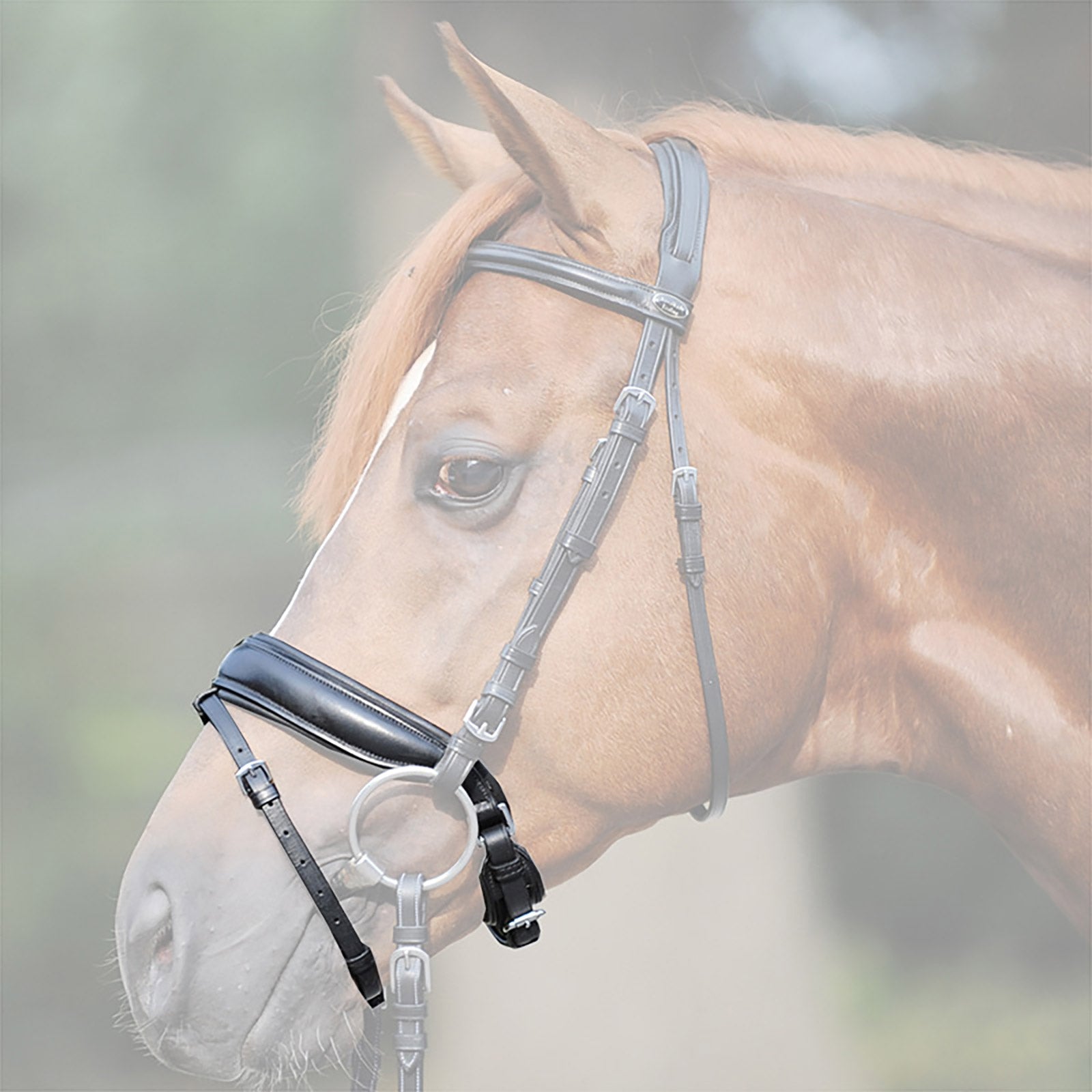 Kavalkade Crank noseband, extra wide Bridles & Reins