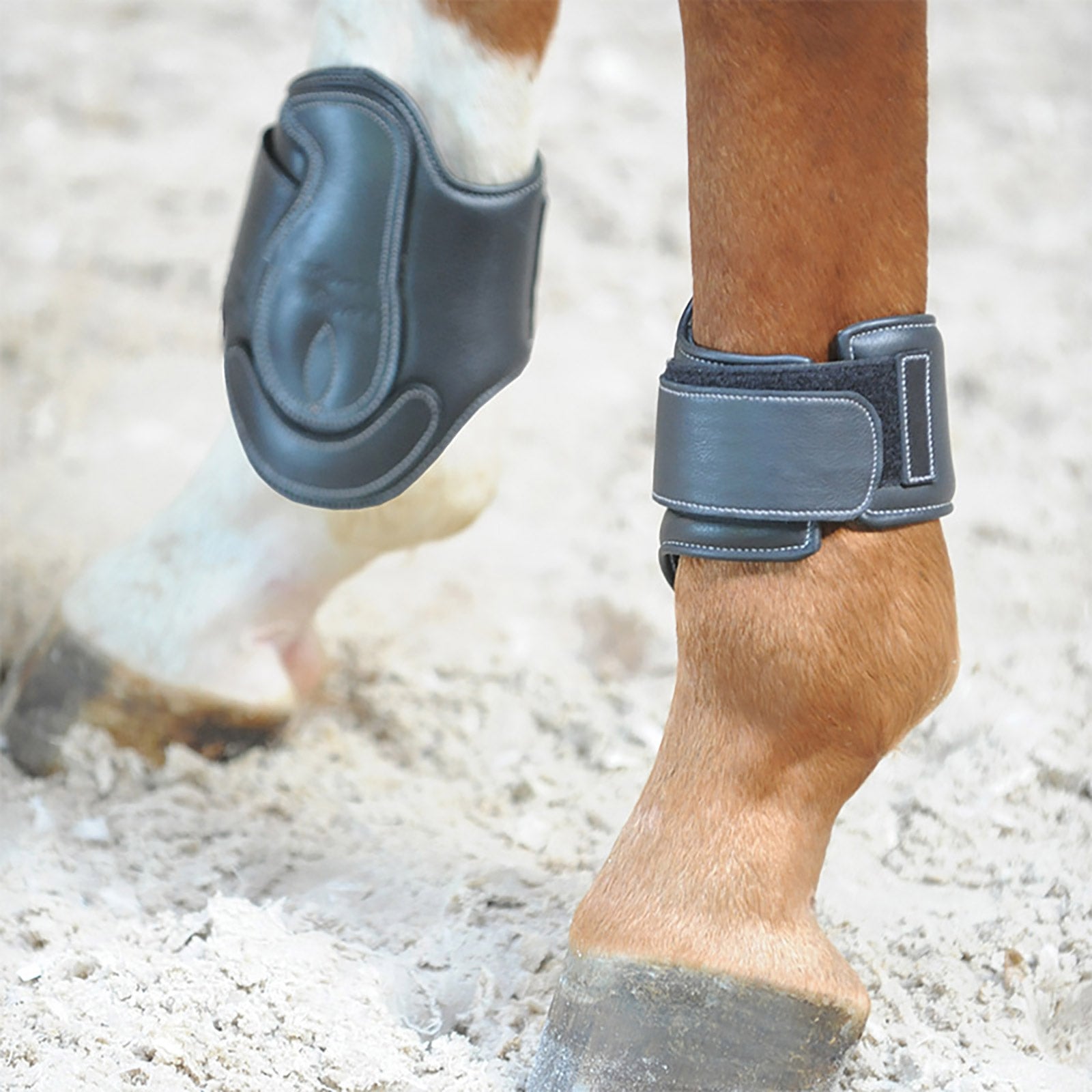 Kavalkade Soft Dekor lærsko Leg Protection & Hoof Protection for Horses