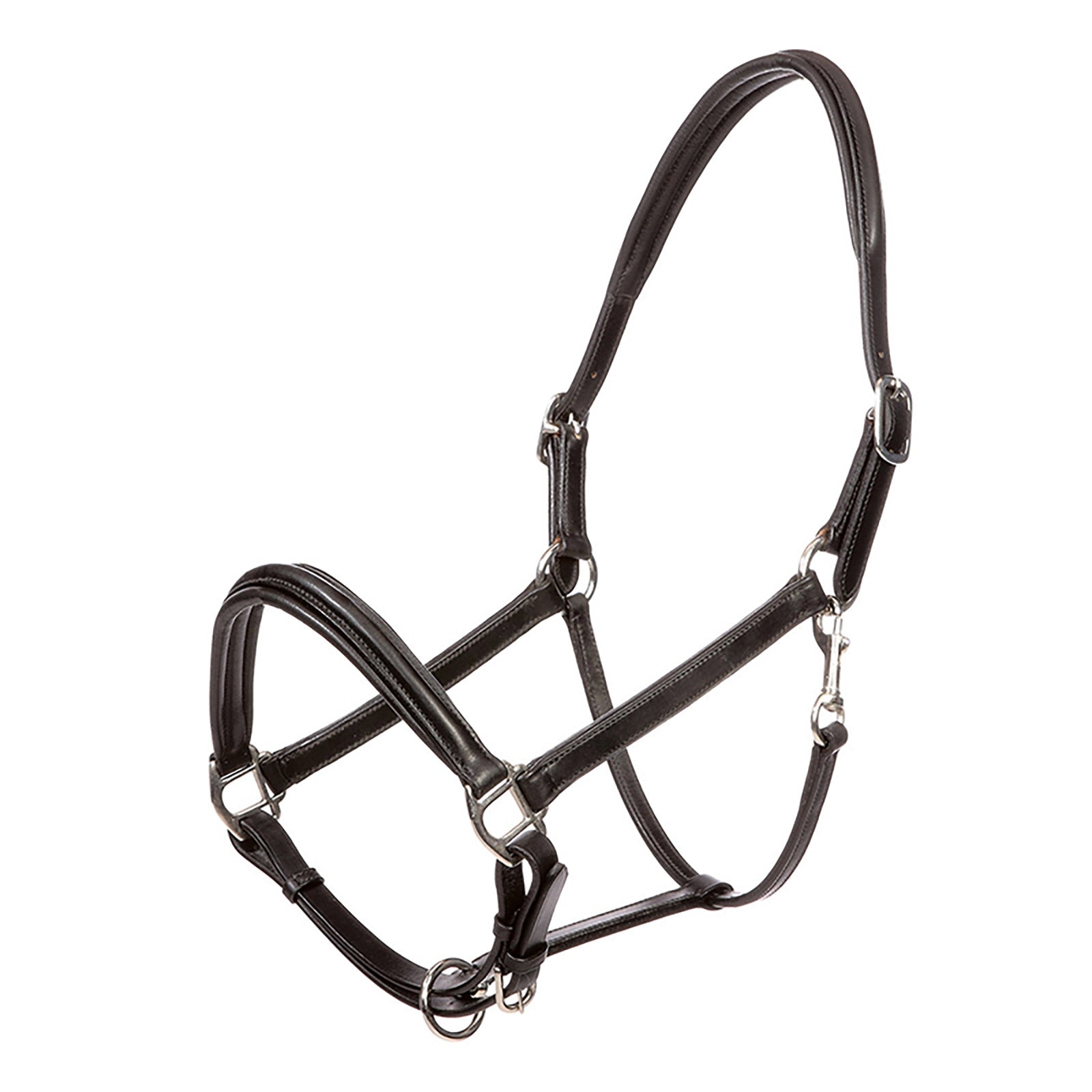 Kavalkade Charming Leather Halter Halters & Leads