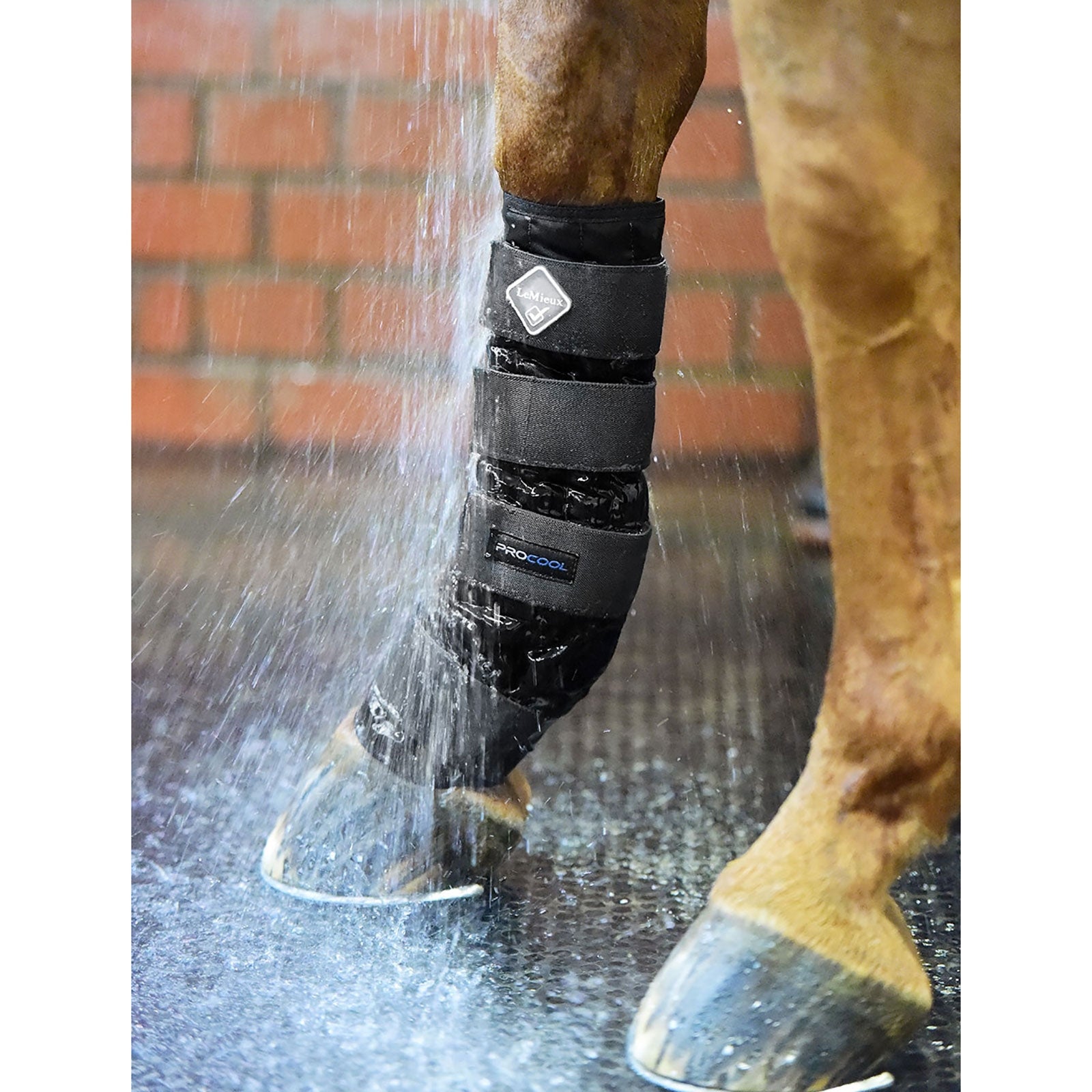 LeMieux kaldtvannsbelegg Leg Protection & Hoof Protection for Horses