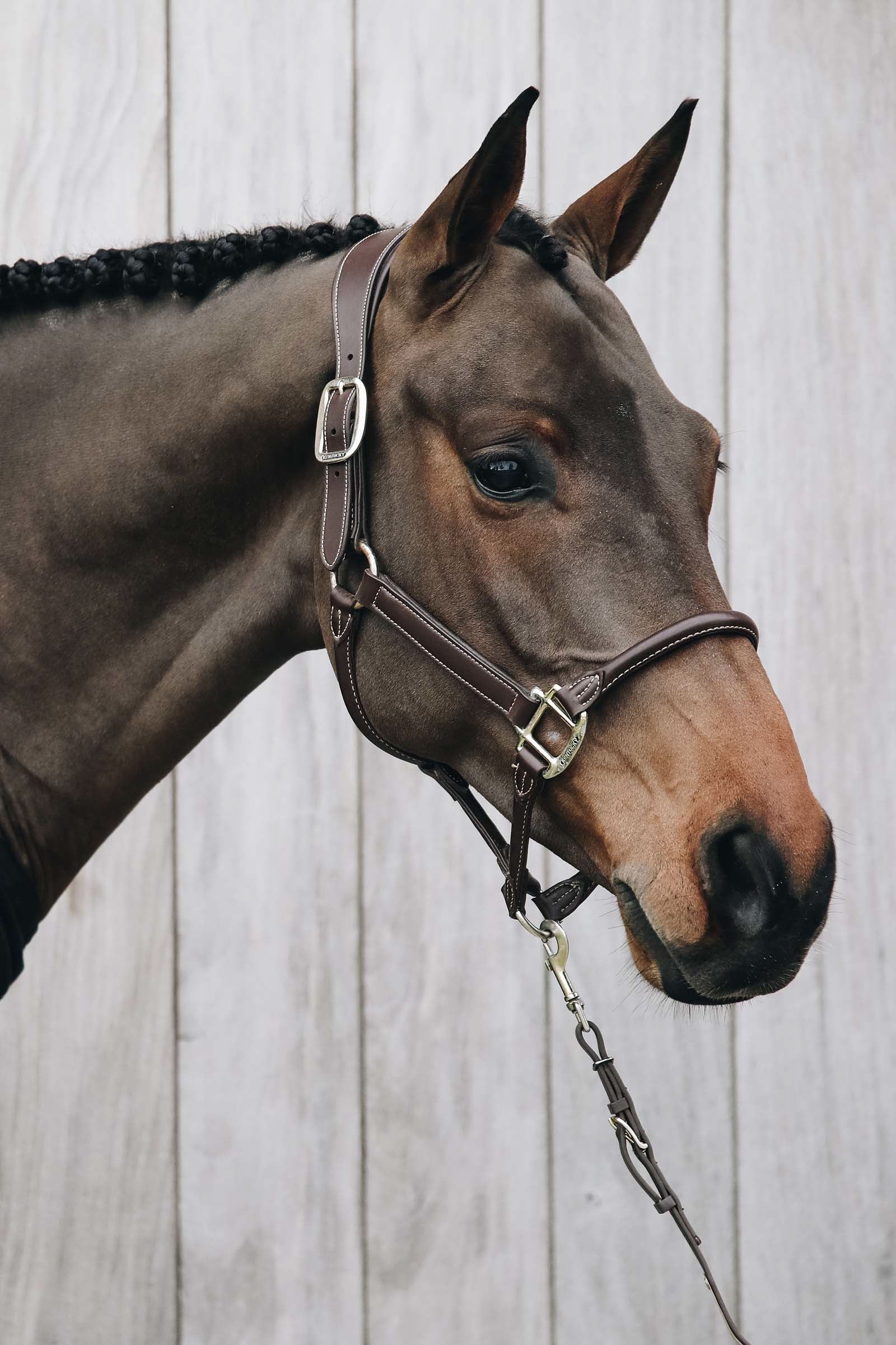 Kentucky Horsewear Anatomic Leather Halter Halters & Leads