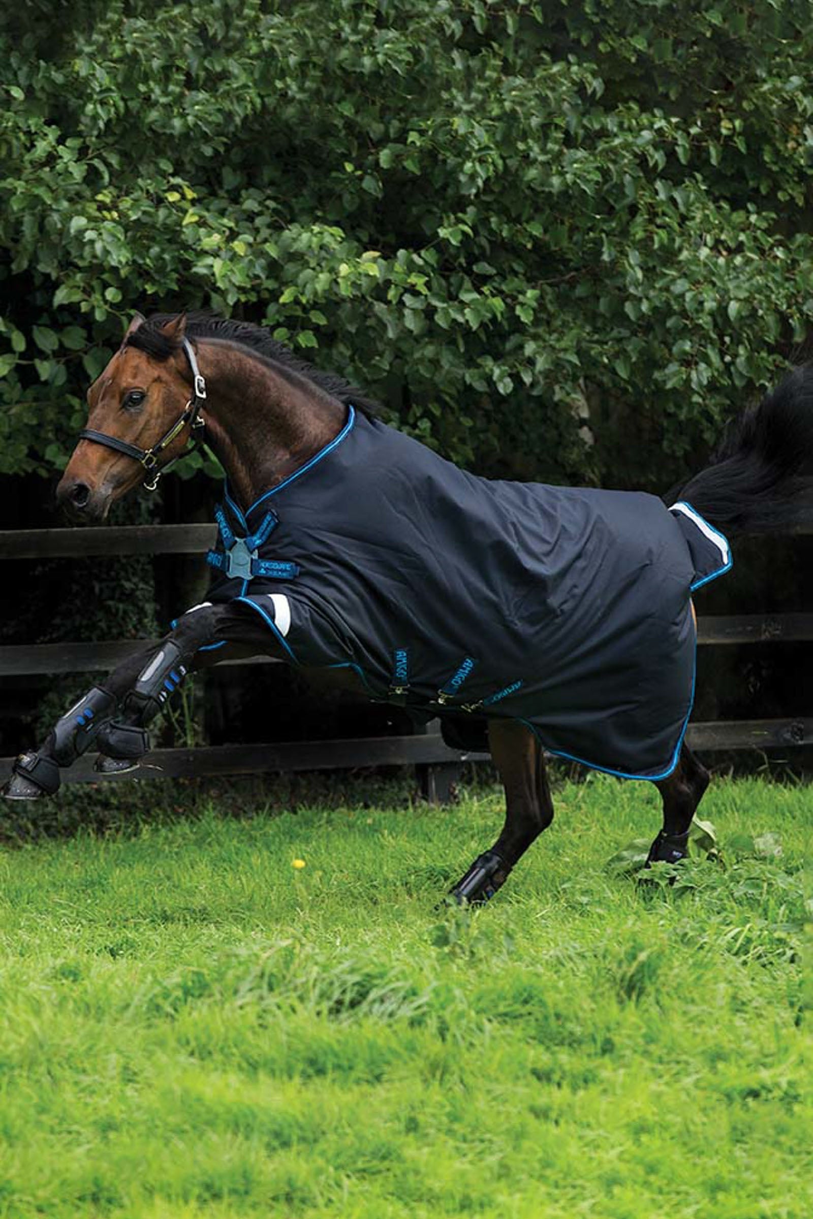 Horseware Amigo Bravo 12 Disc Turnout Rug, 100g Horse Rugs