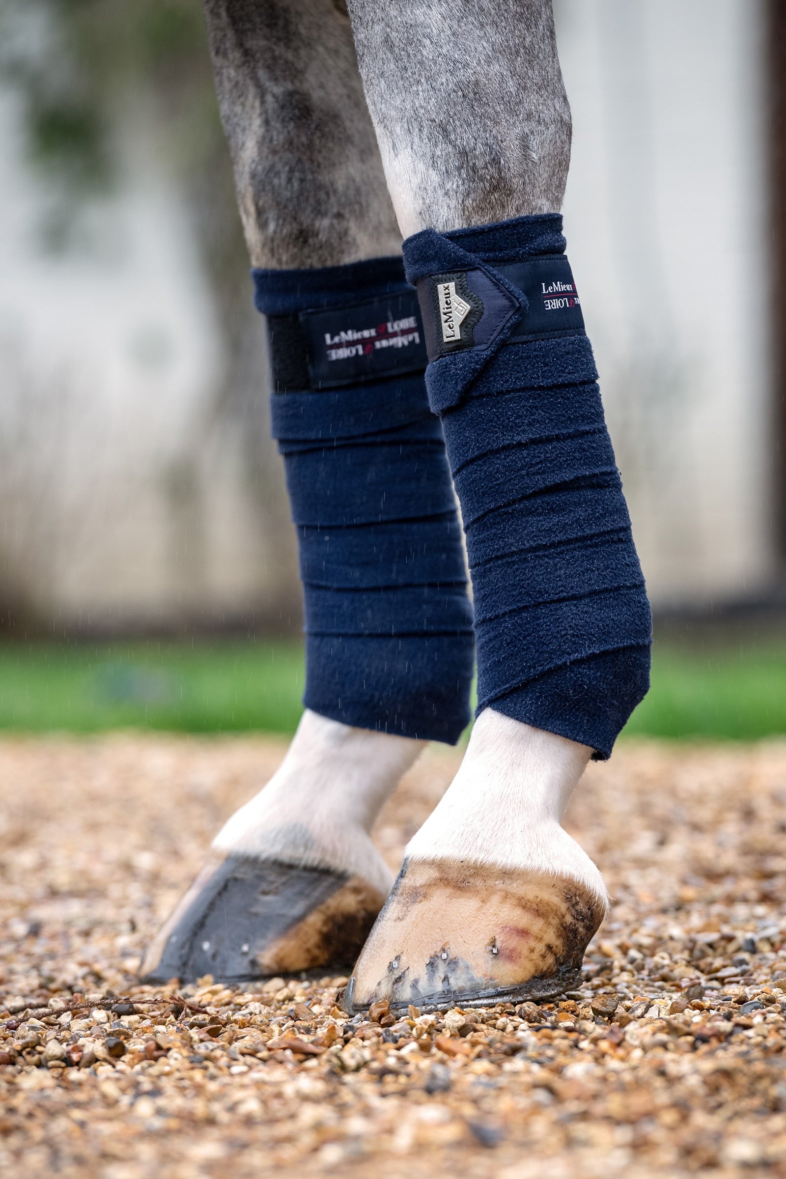 LeMieux Loire polobandasjer Leg Protection & Hoof Protection for Horses