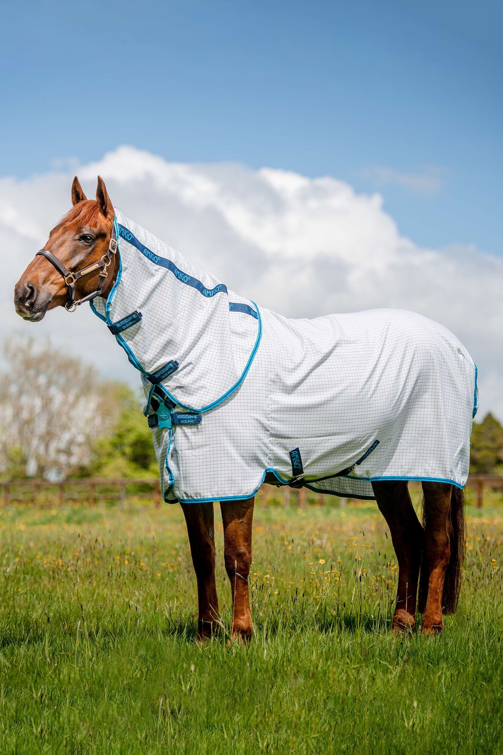 Horseware Amigo Summer Sheet Plus Horse Rugs