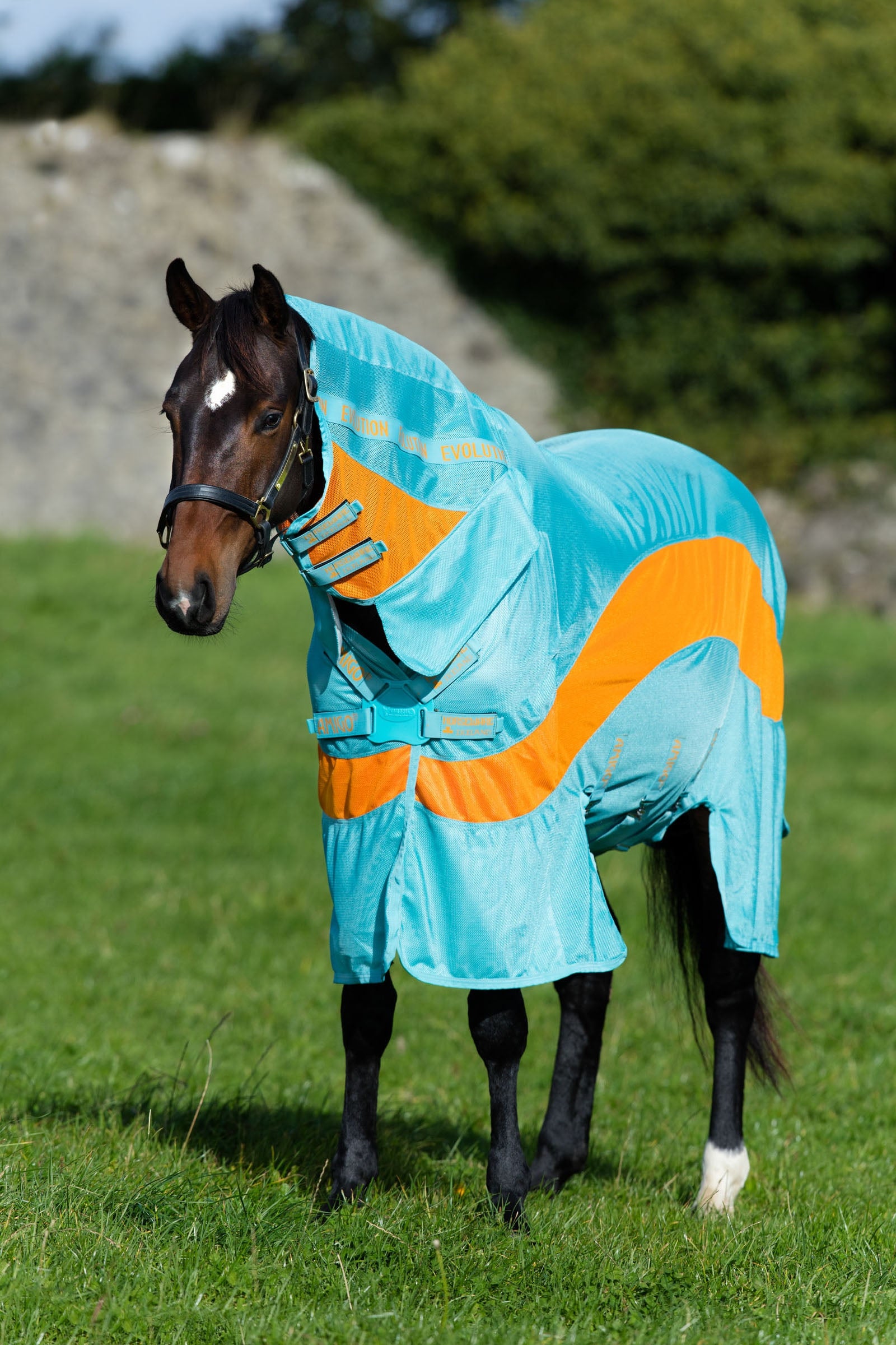 Horseware Amigo Evolution Dekken