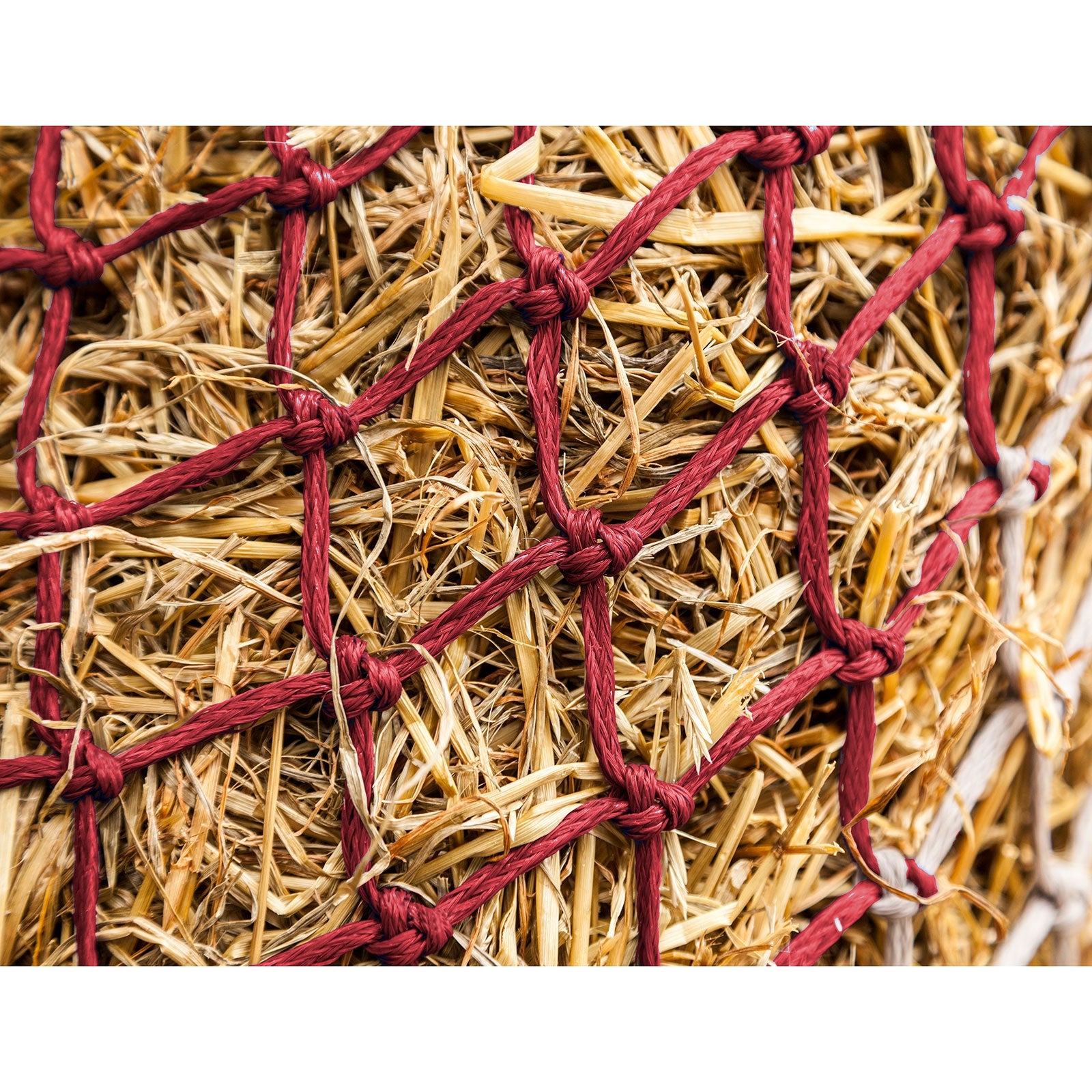 LeMieux Hippo høynett Vanning og fôring