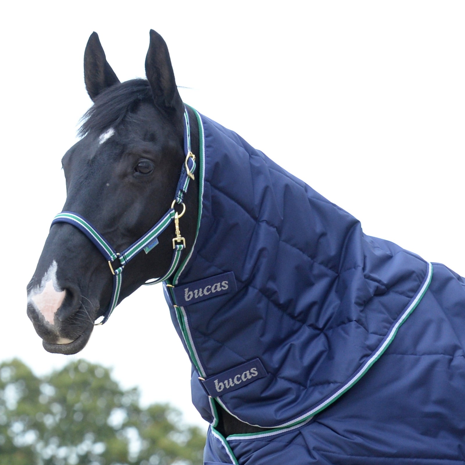 Bucas Quilt Neck Horse Rugs